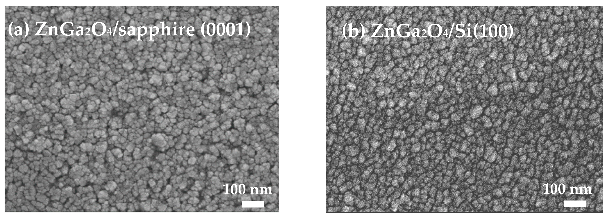 Coatings 09 00469 g003