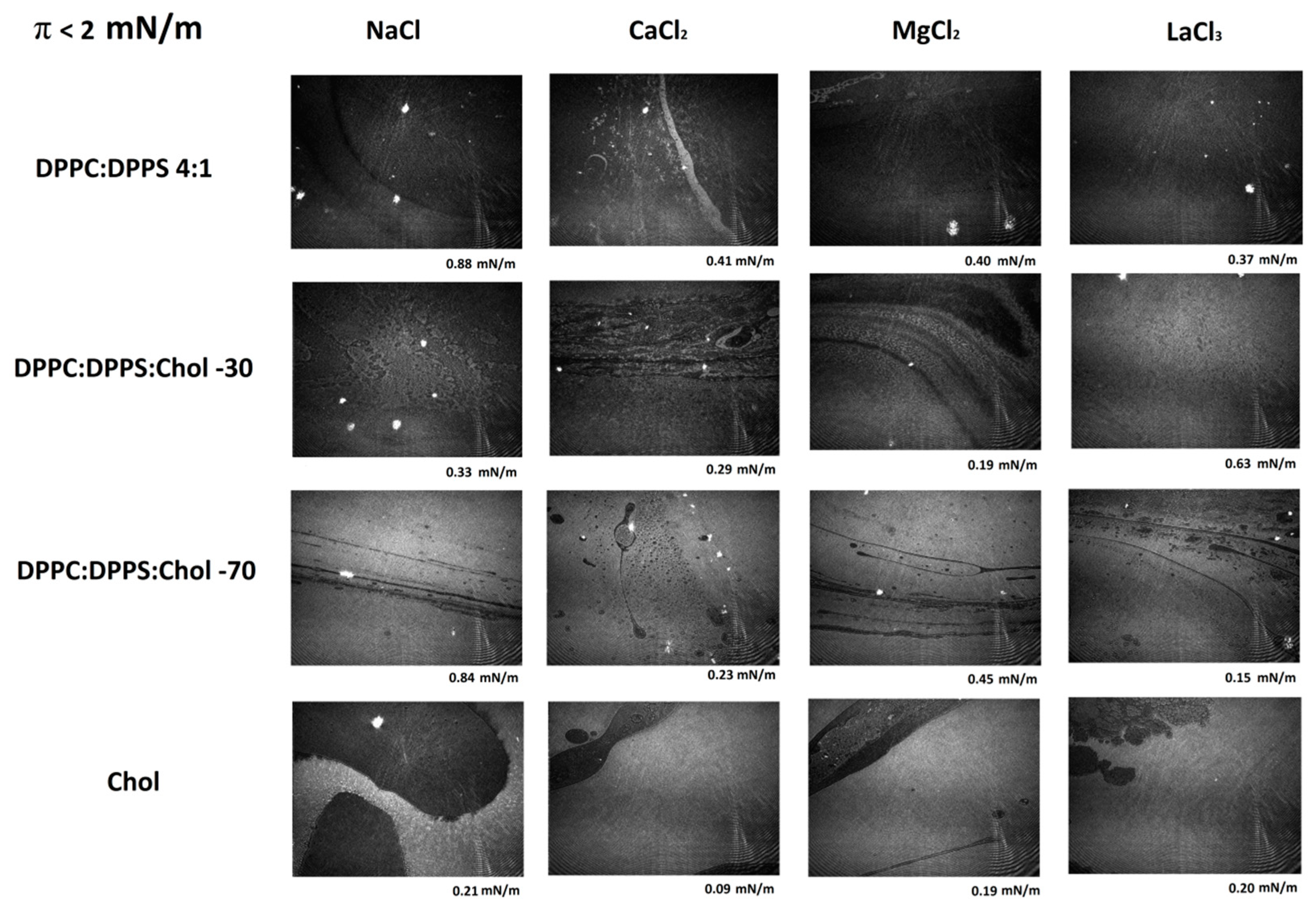 Coatings 09 00474 g003