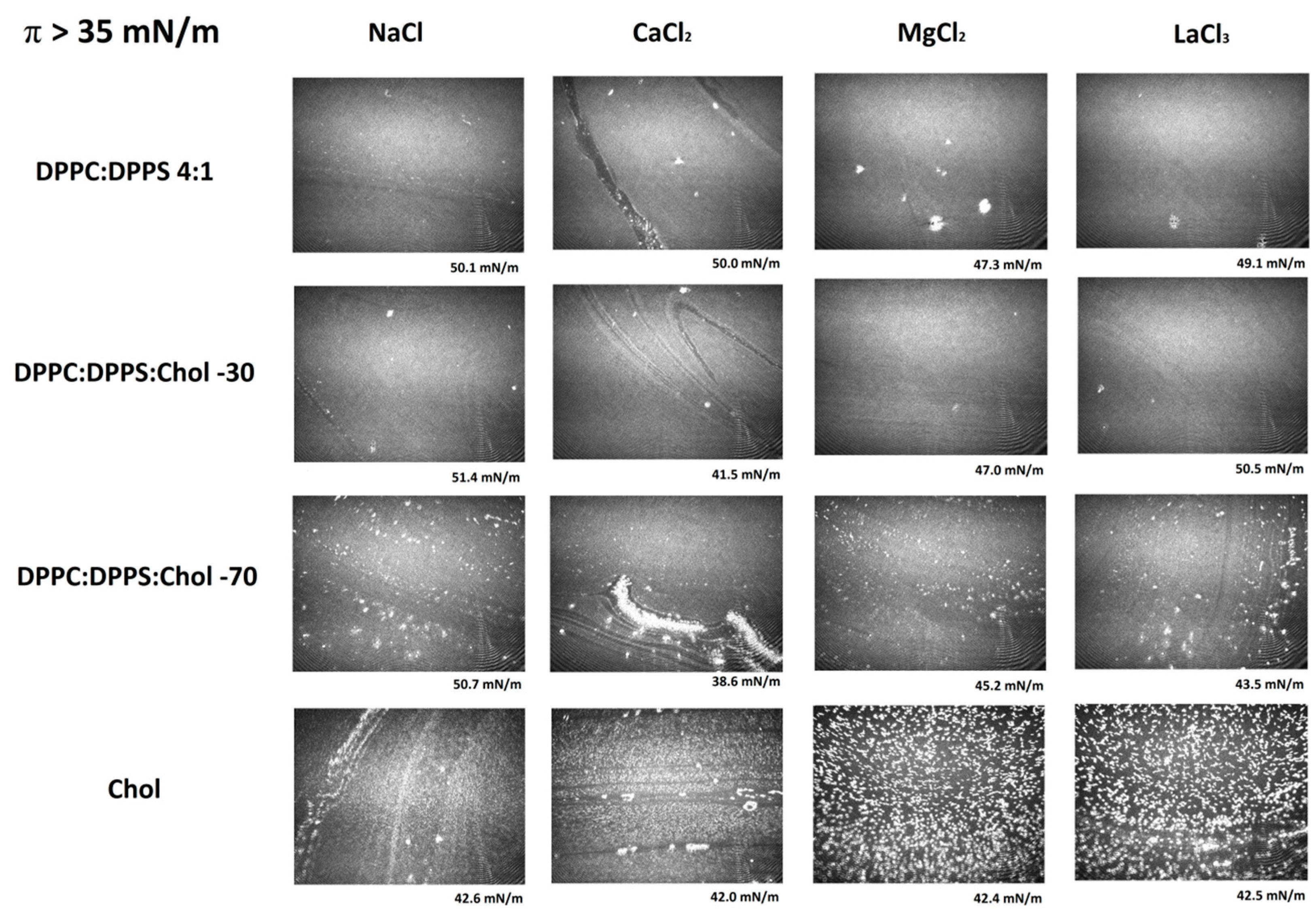 Coatings 09 00474 g004