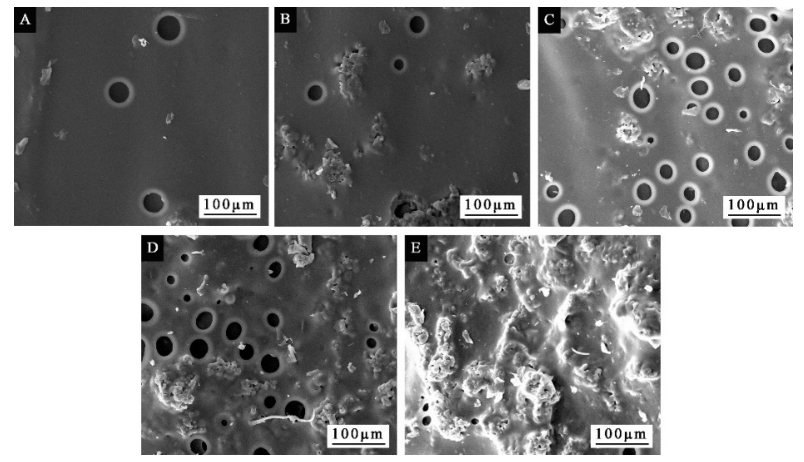 Coatings 09 00475 g011
