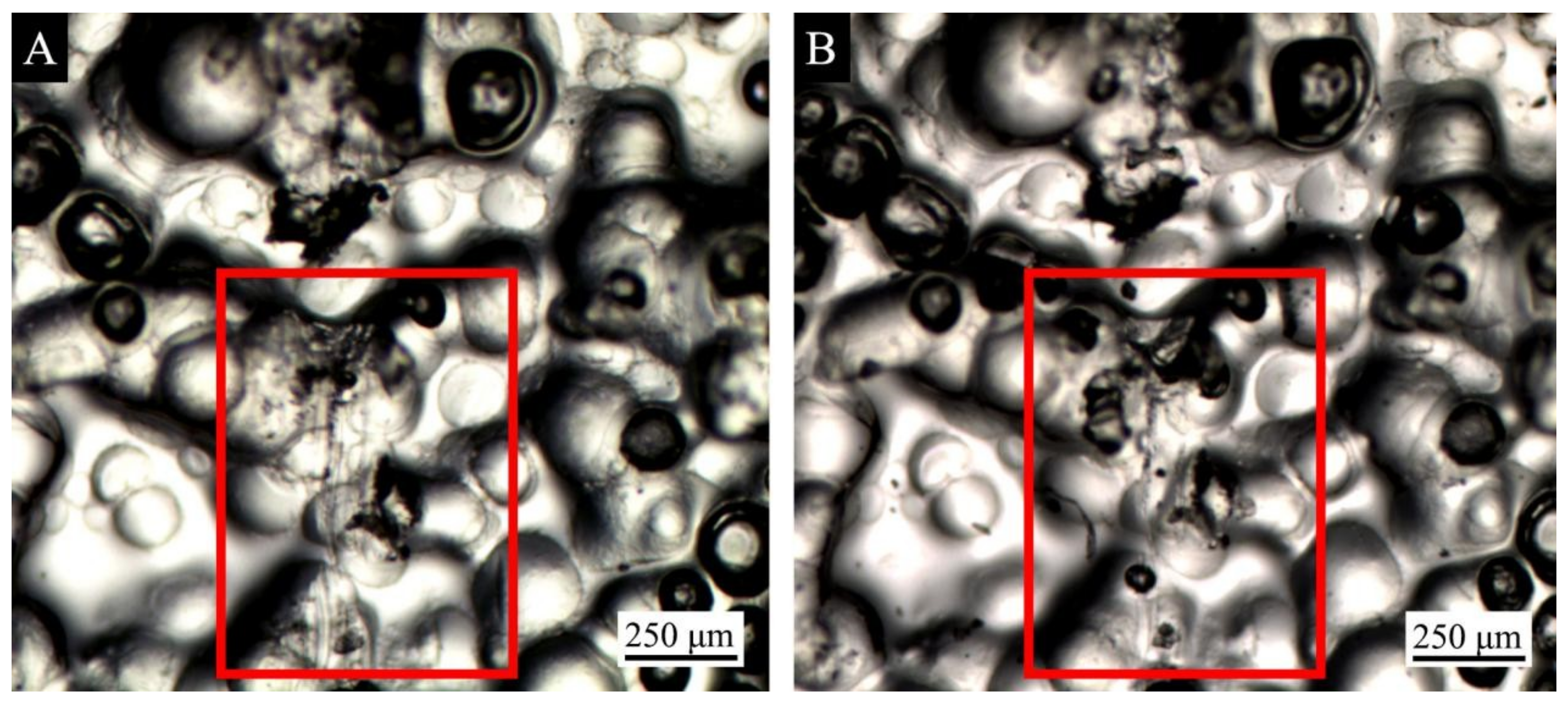 Coatings 09 00475 g012