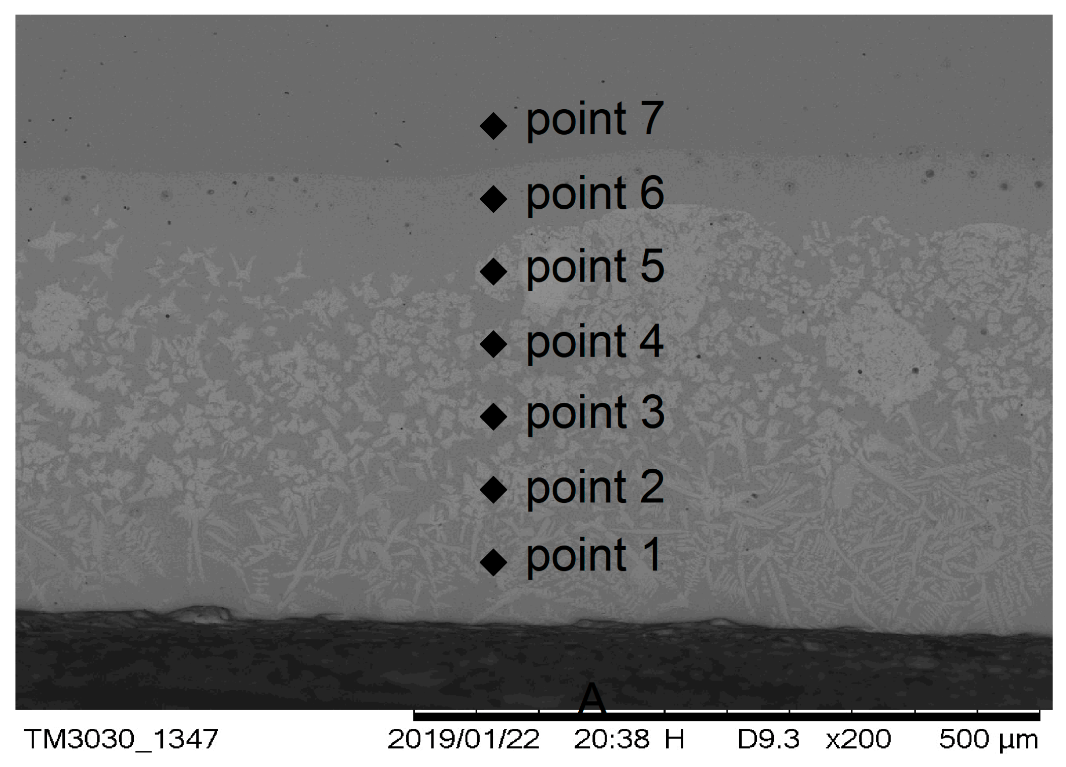 Coatings 09 00476 g006