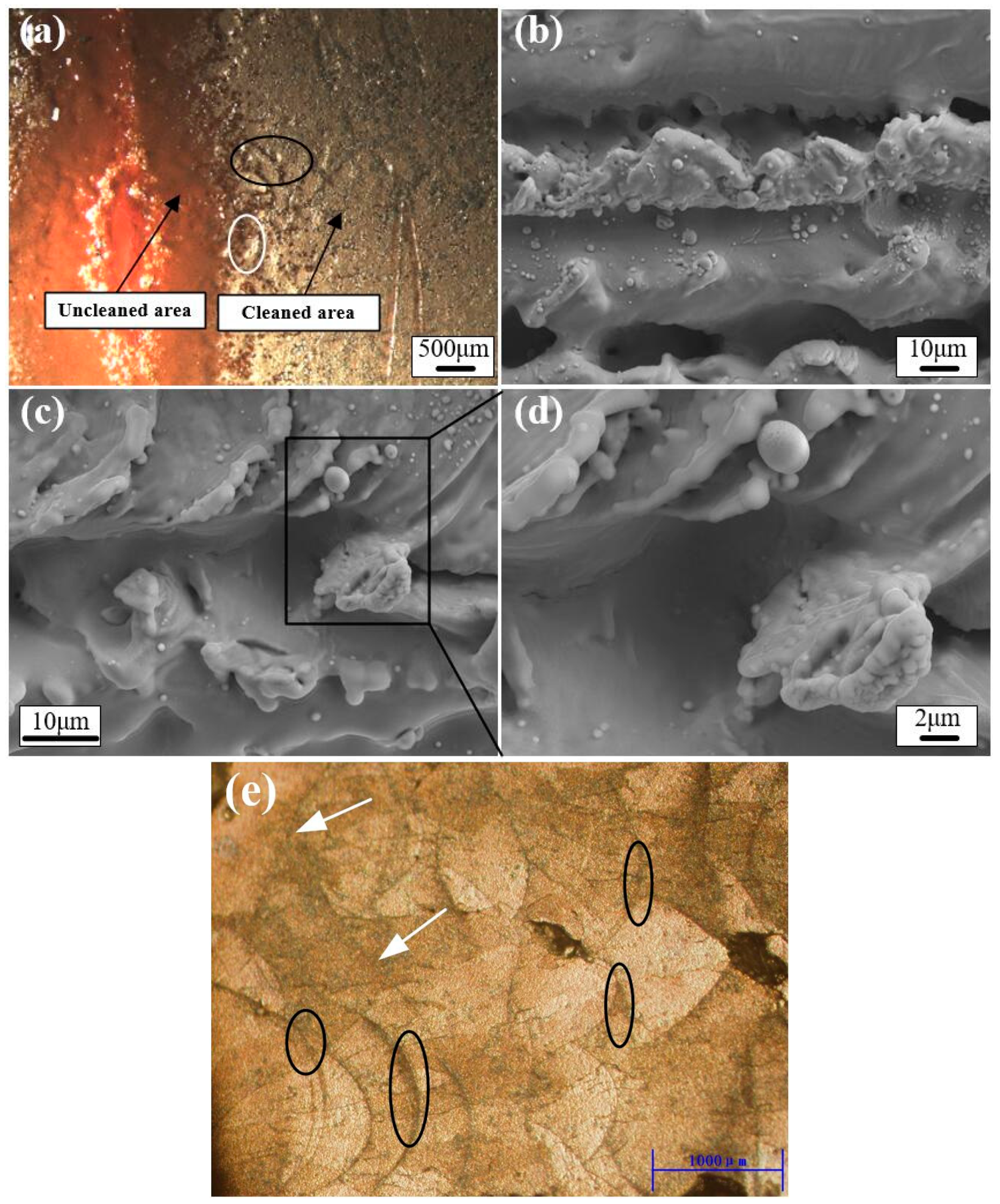 Coatings 09 00488 g007