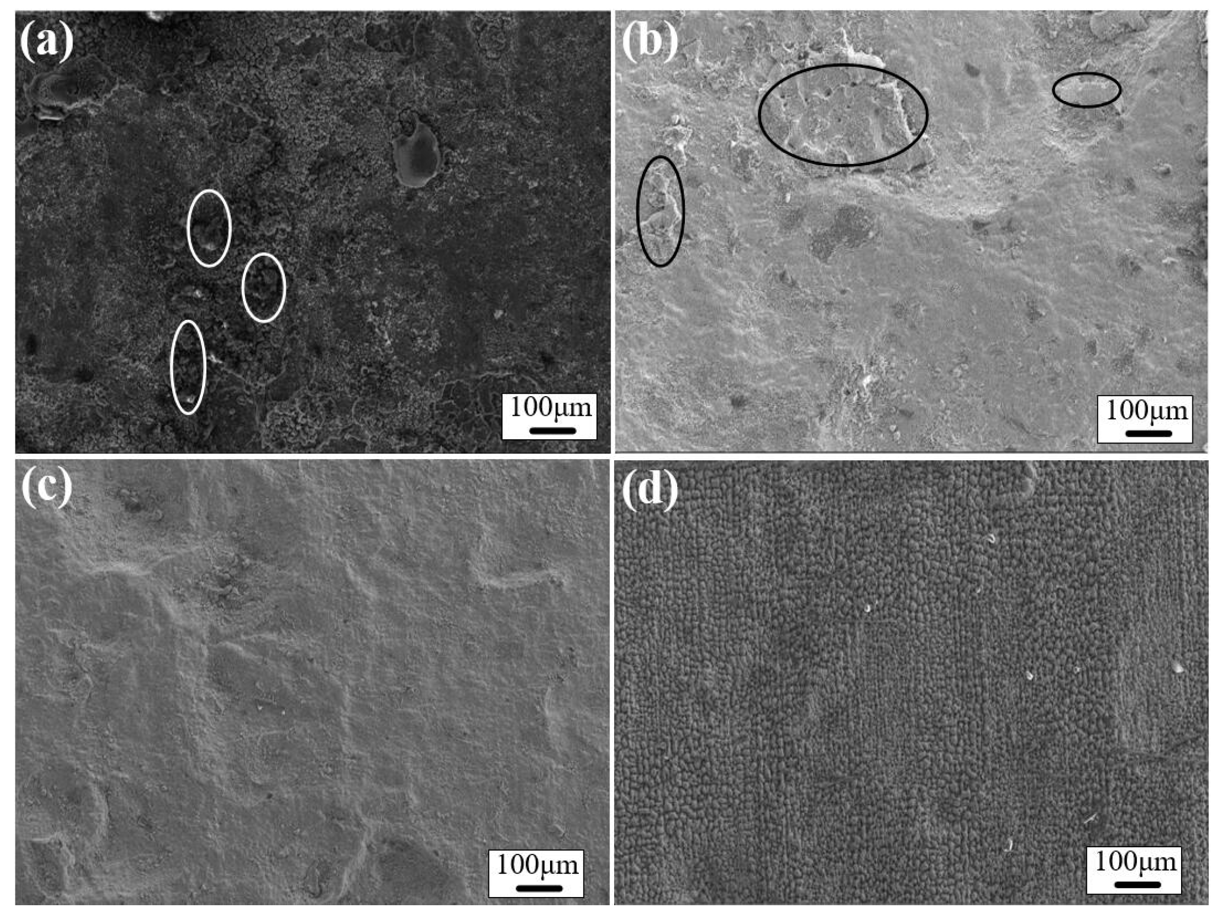 Coatings 09 00488 g008