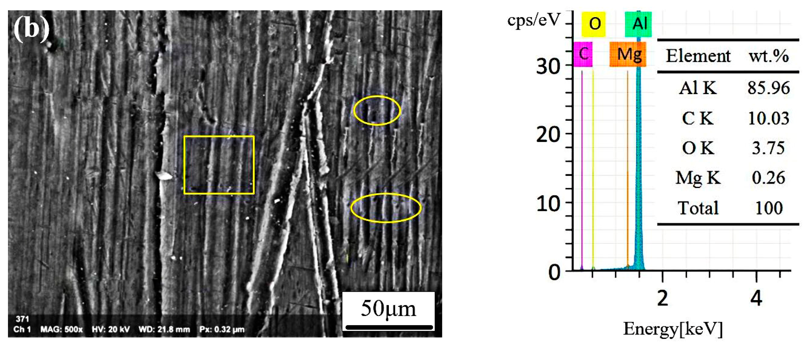 Coatings 09 00488 g009b