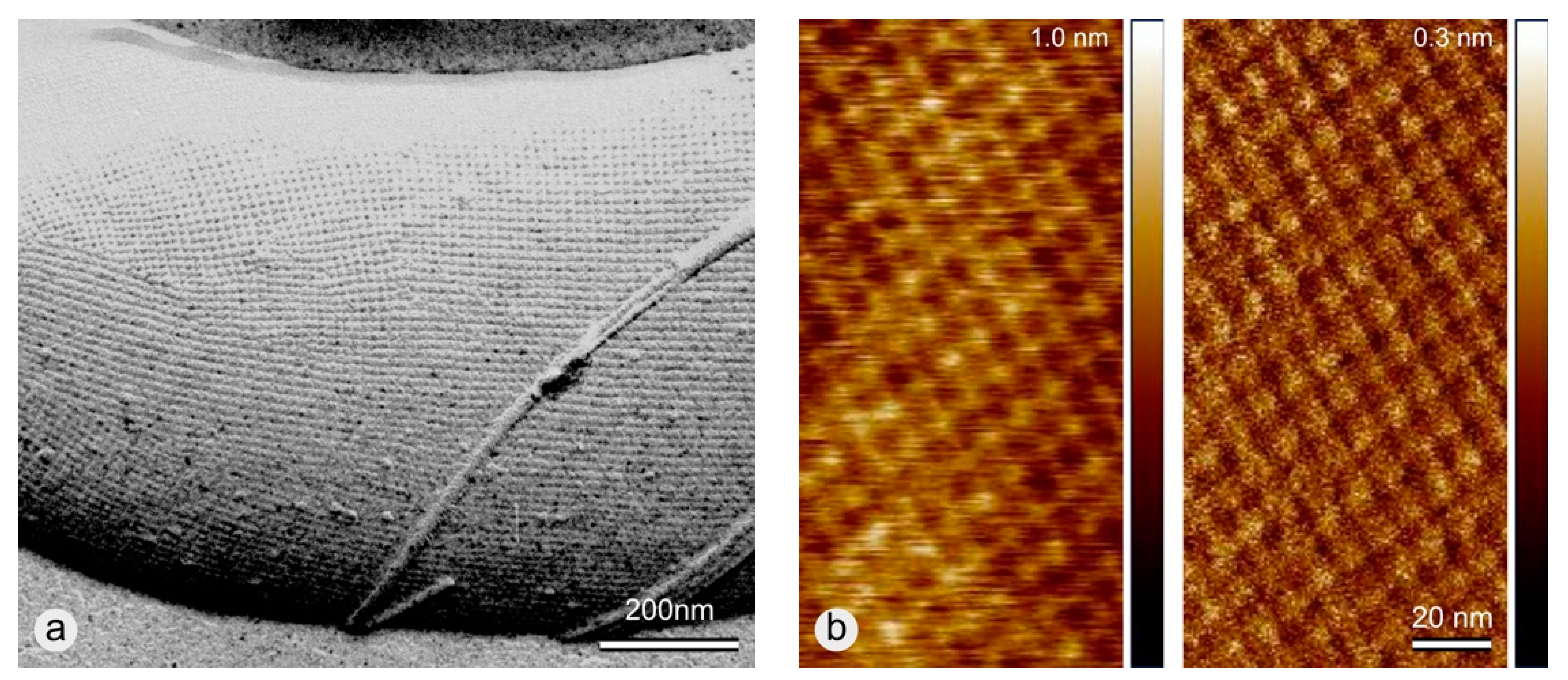 Coatings 09 00492 g001 Coatings 09 00492 g001