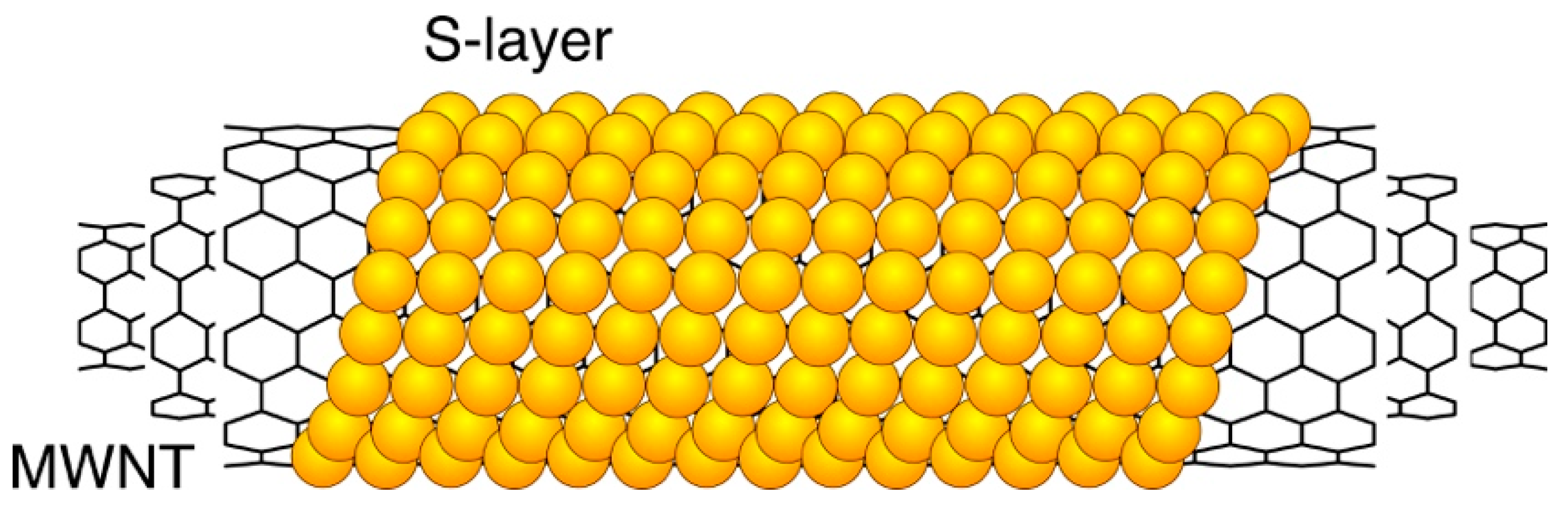 Coatings 09 00492 g002 Coatings 09 00492 g002