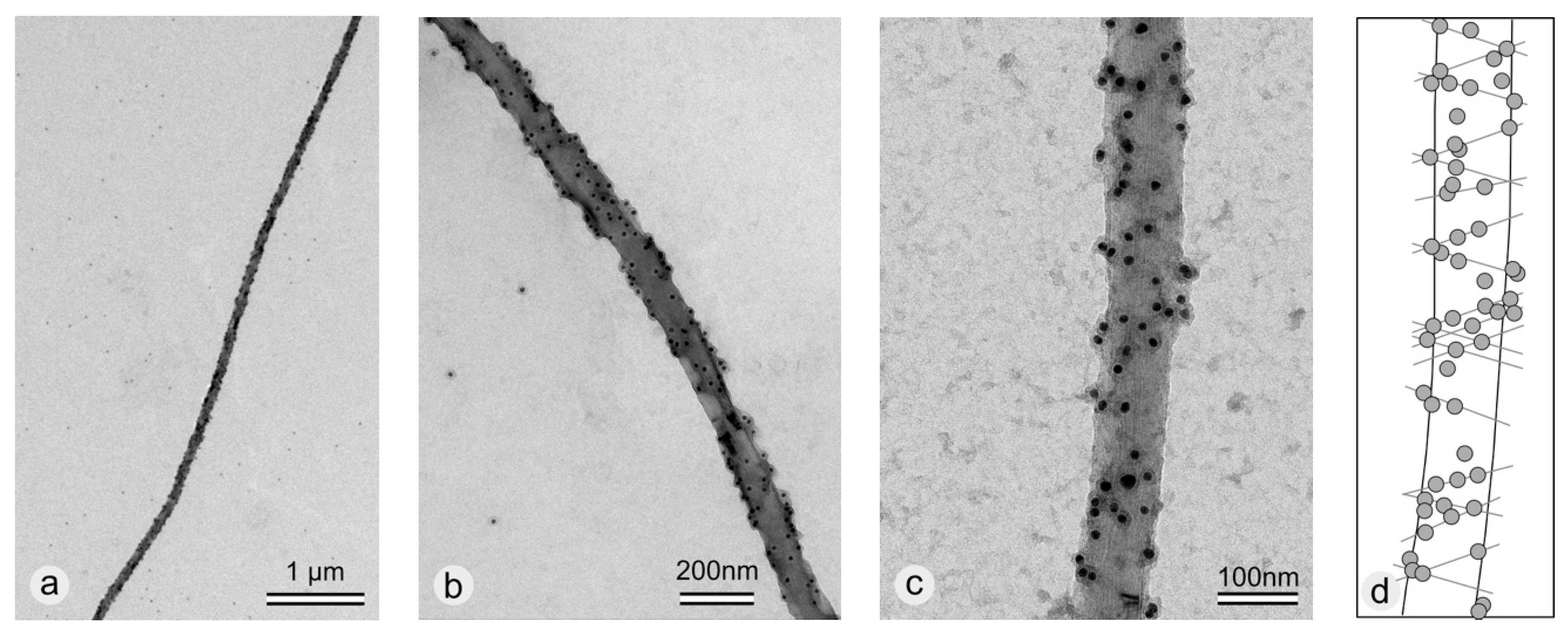 Coatings 09 00492 g006 Coatings 09 00492 g006