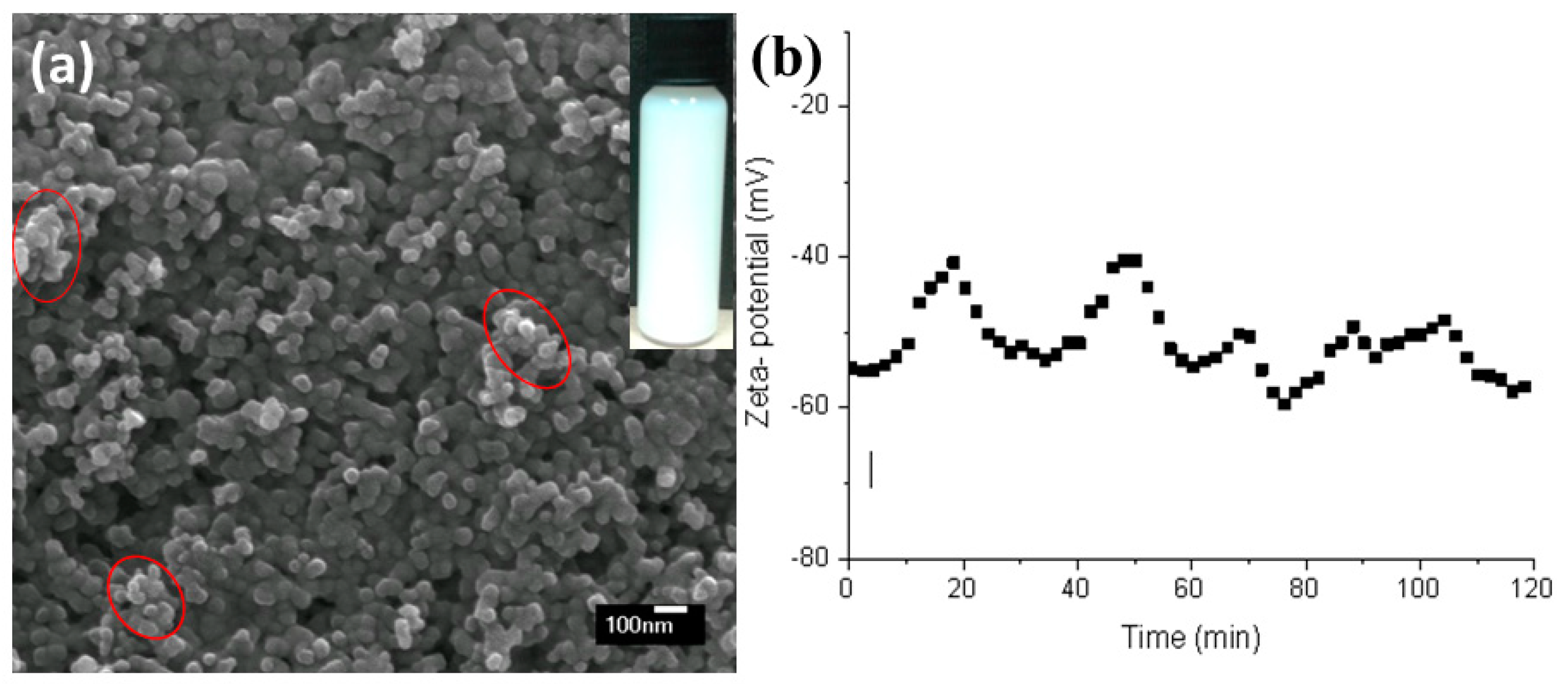 Coatings 09 00504 g002