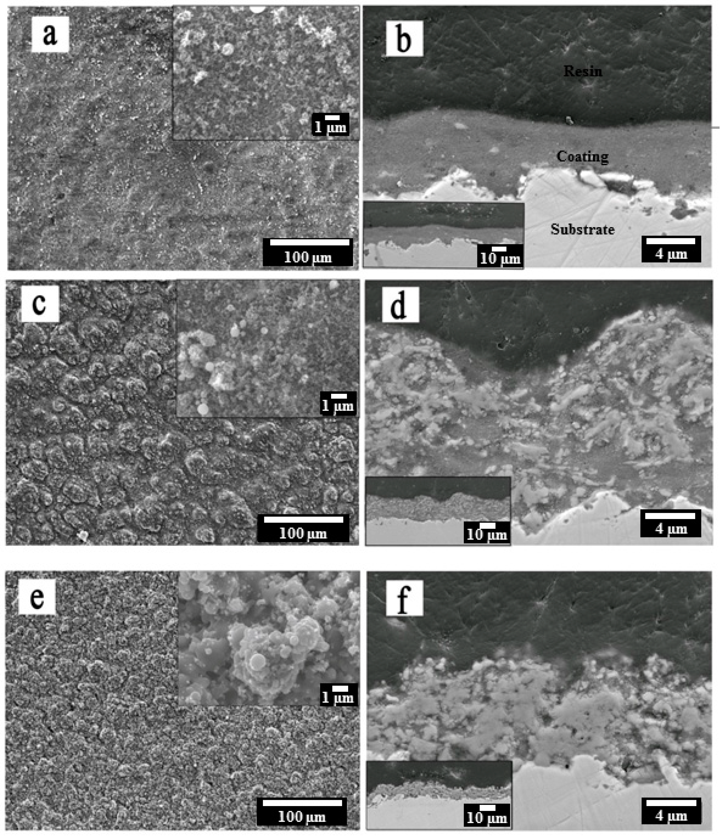 Coatings 09 00504 g003