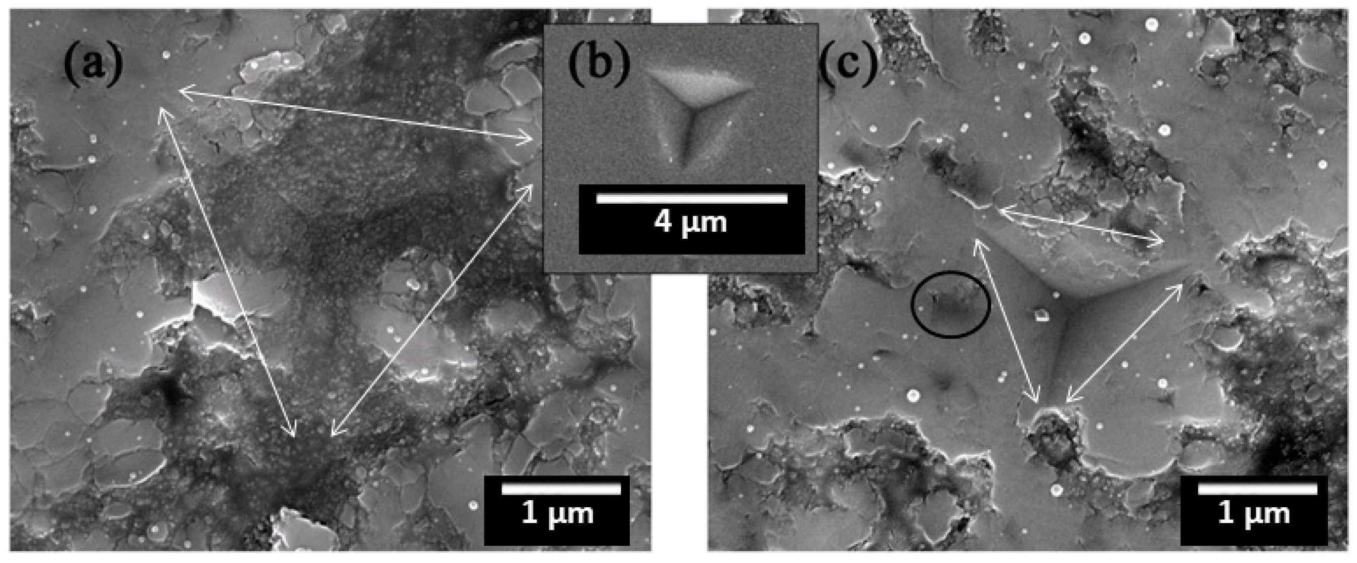 Coatings 09 00504 g007