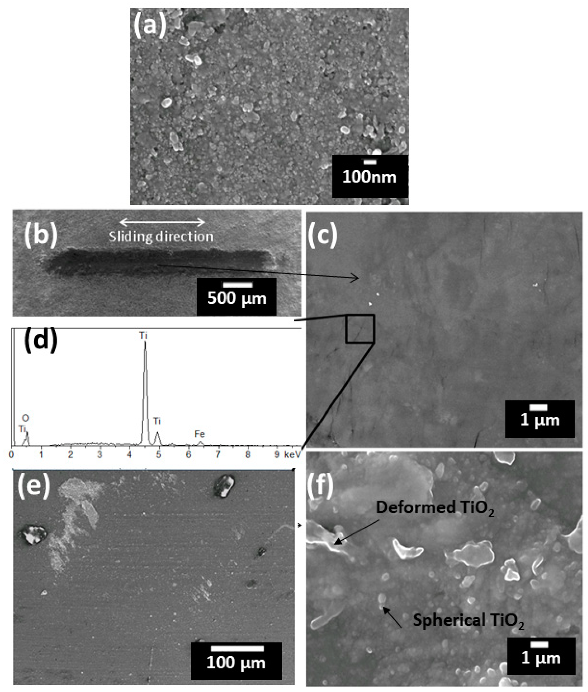 Coatings 09 00504 g010