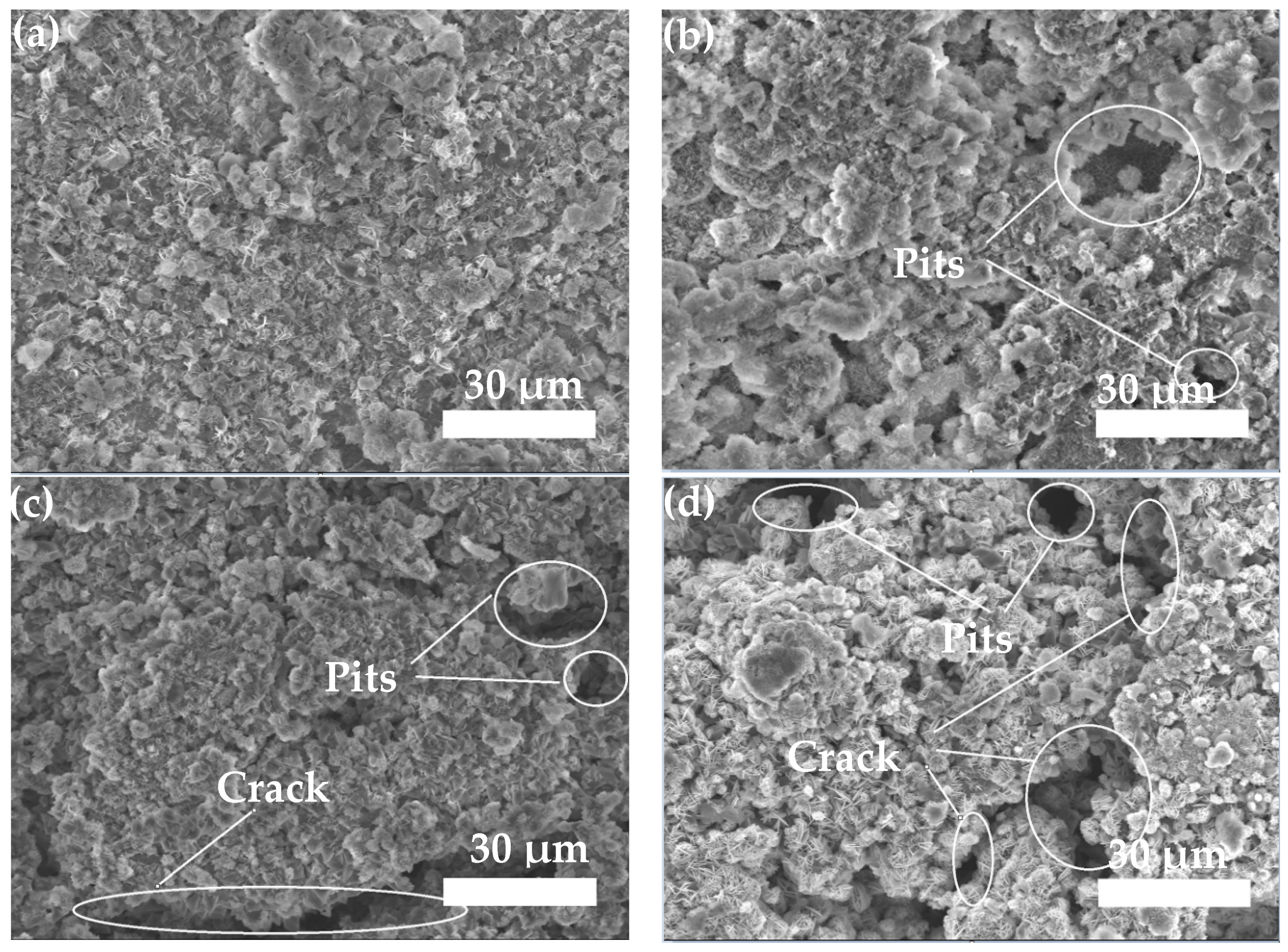 Coatings 09 00505 g009