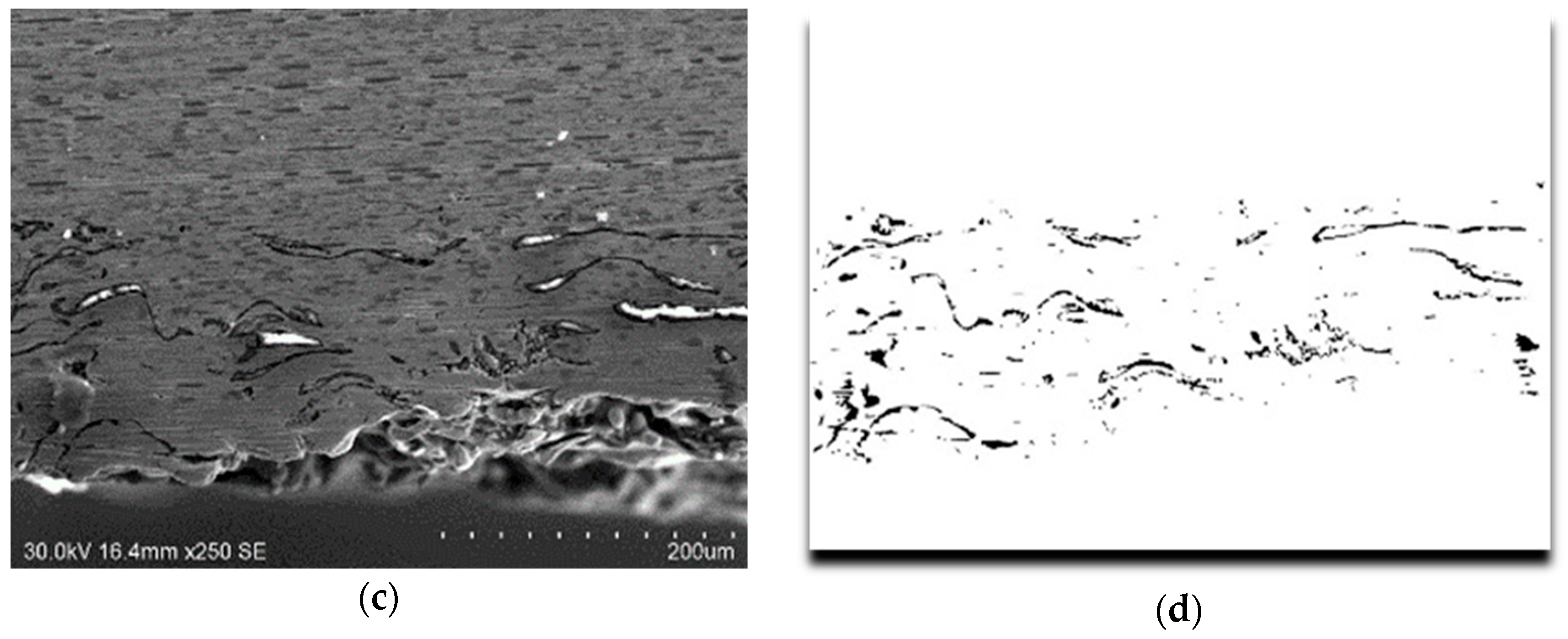 Coatings 09 00507 g007b Coatings 09 00507 g007b