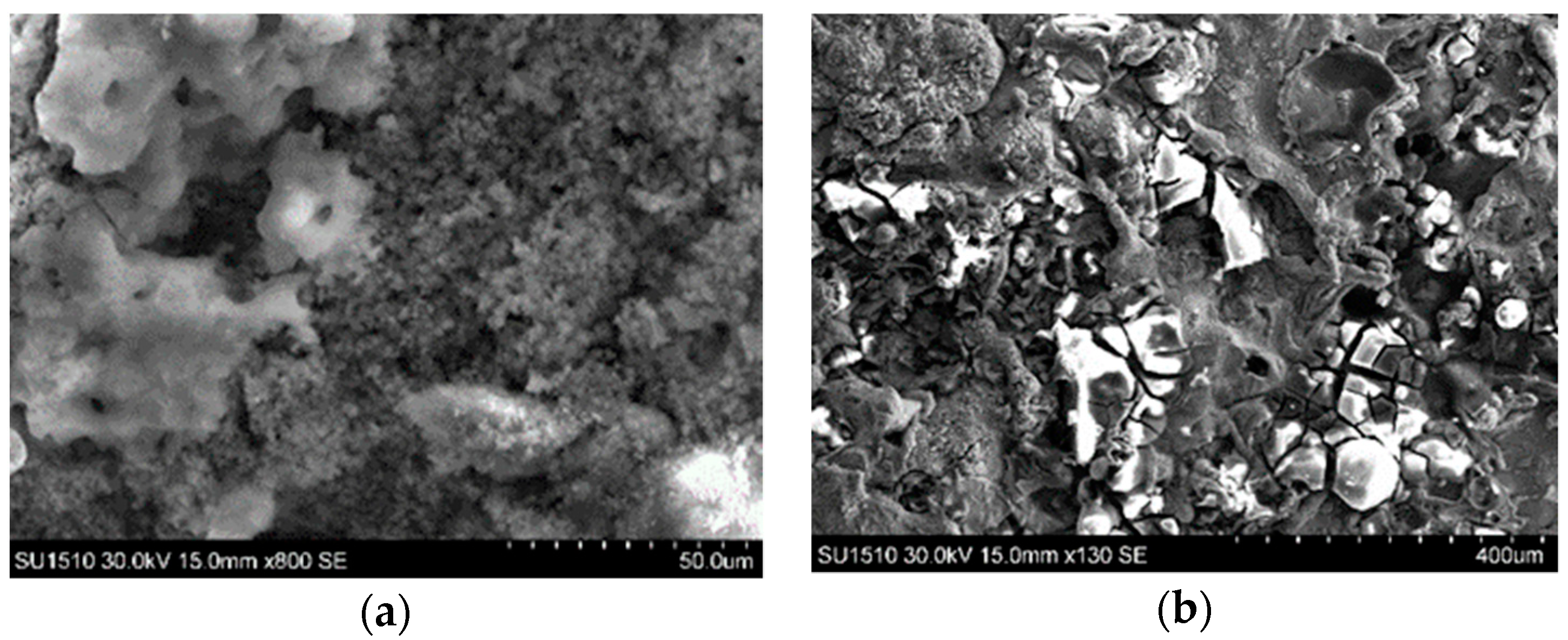 Coatings 09 00507 g010 Coatings 09 00507 g010