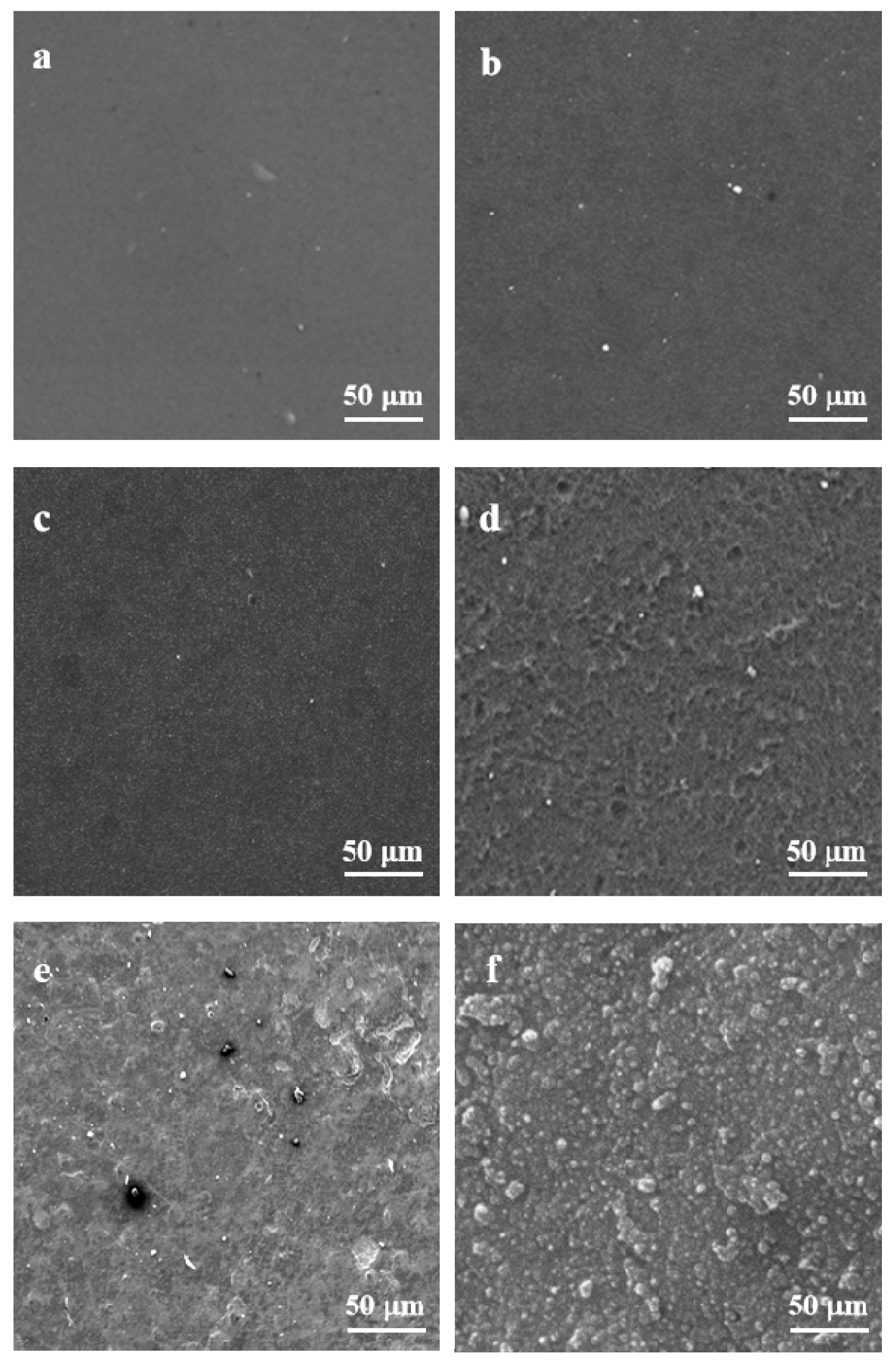 Coatings 09 00525 g002 Coatings 09 00525 g002
