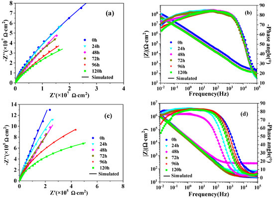 Progress in Niobium Oxide-Containing Coatings for Biomedical