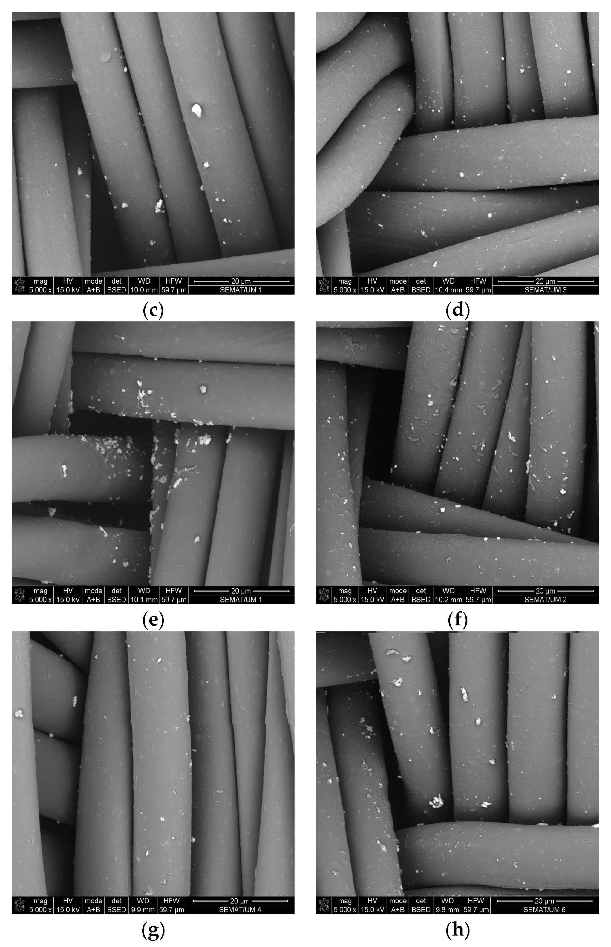 Coatings Free Full Text Antimicrobial Efficacy Of Low Concentration Pvp Silver Nanoparticles Deposited On Dbd Plasma Treated Polyamide 6 6 Fabric Html