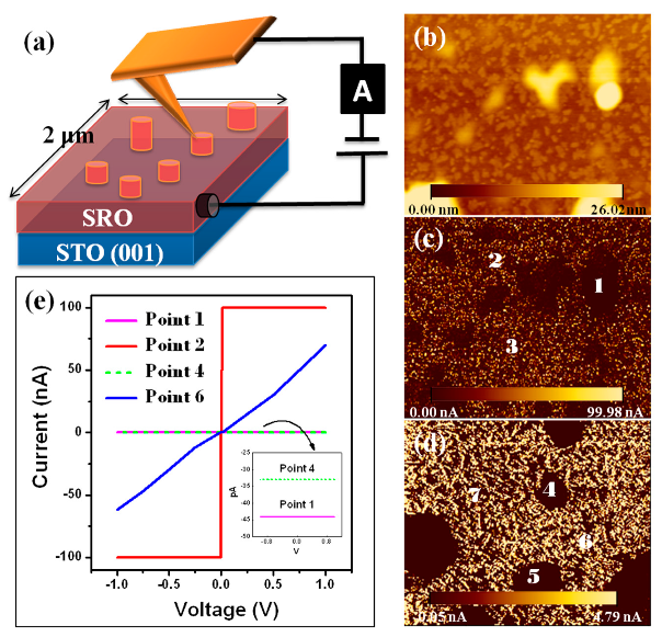 Coatings 09 00589 g005