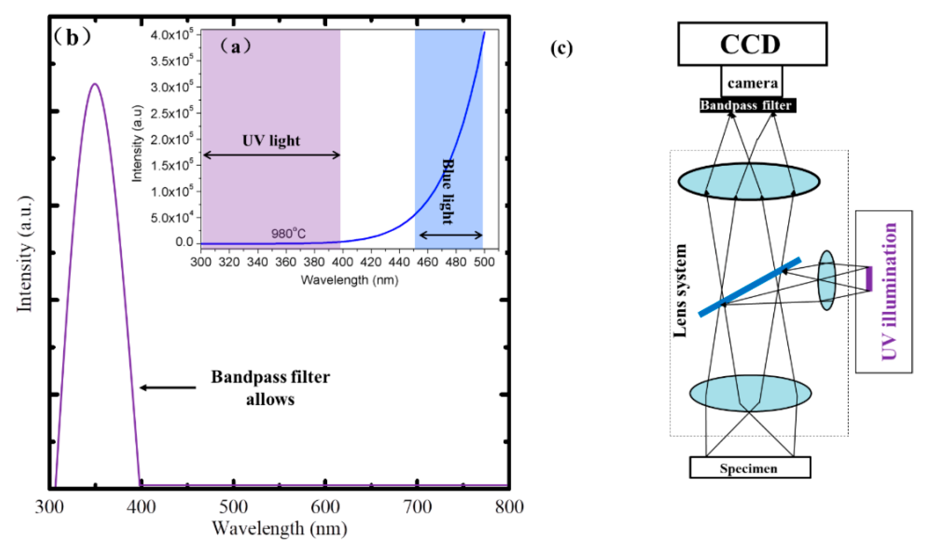 Coatings 09 00598 g001
