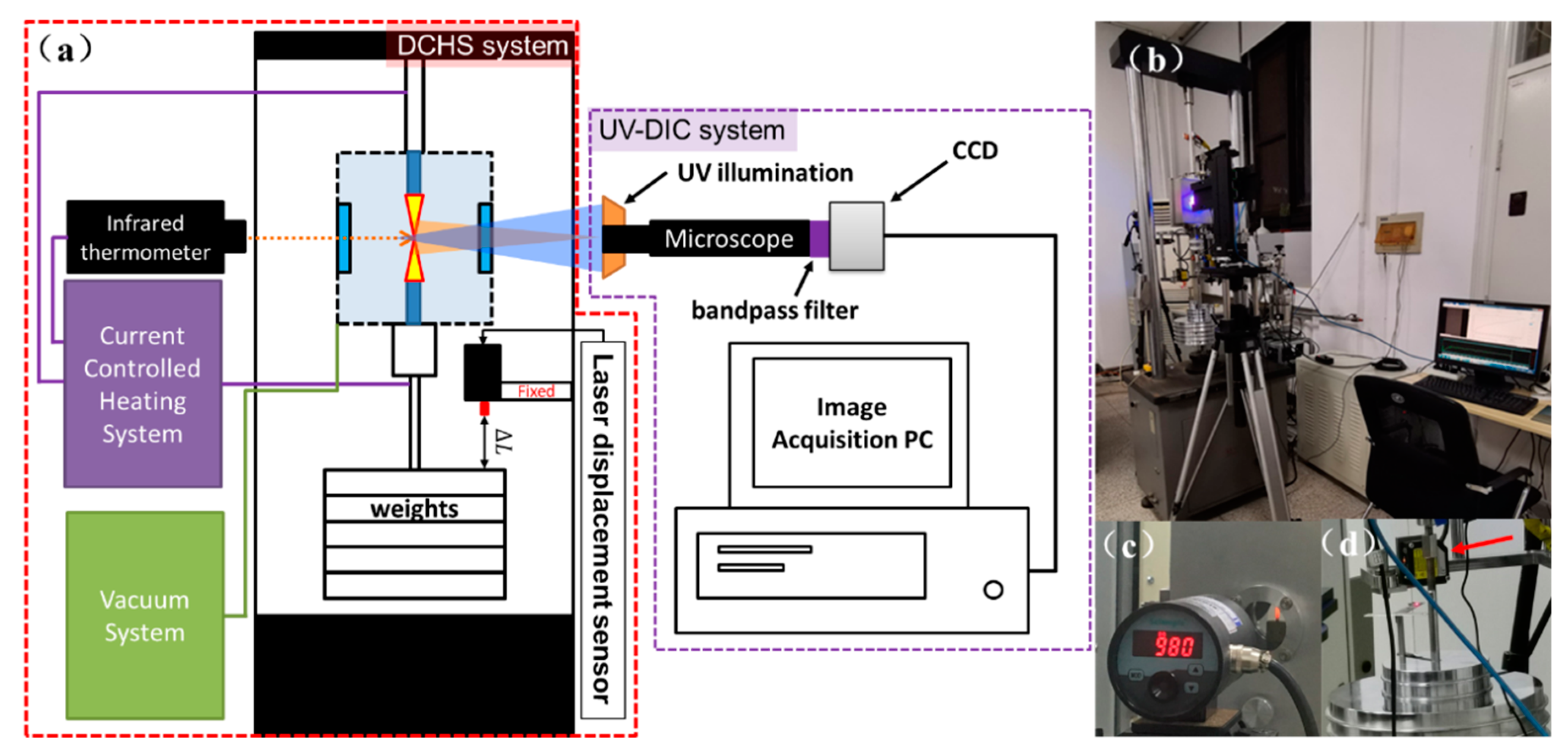 Coatings 09 00598 g003