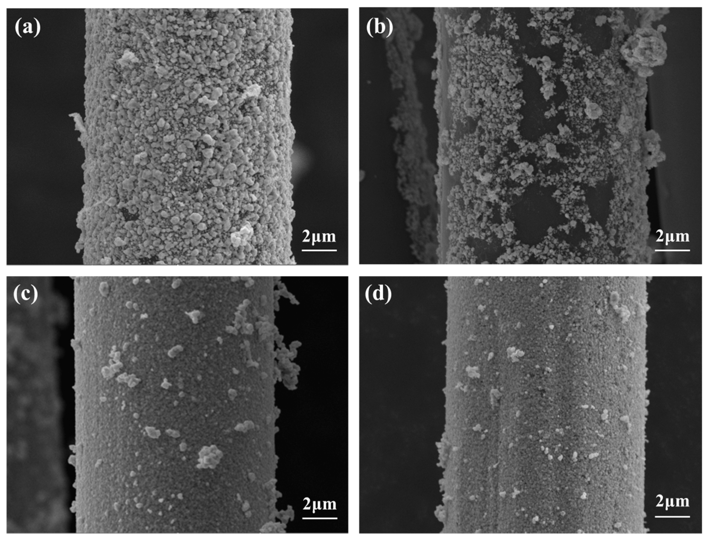 Coatings 09 00599 g007