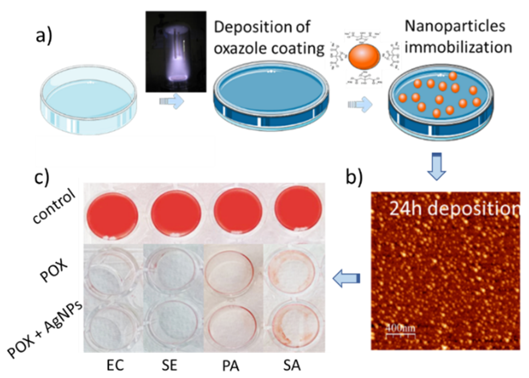 Coatings | Free Full-Text | Nanoengineered Antibacterial Coatings and  Materials: A Perspective
