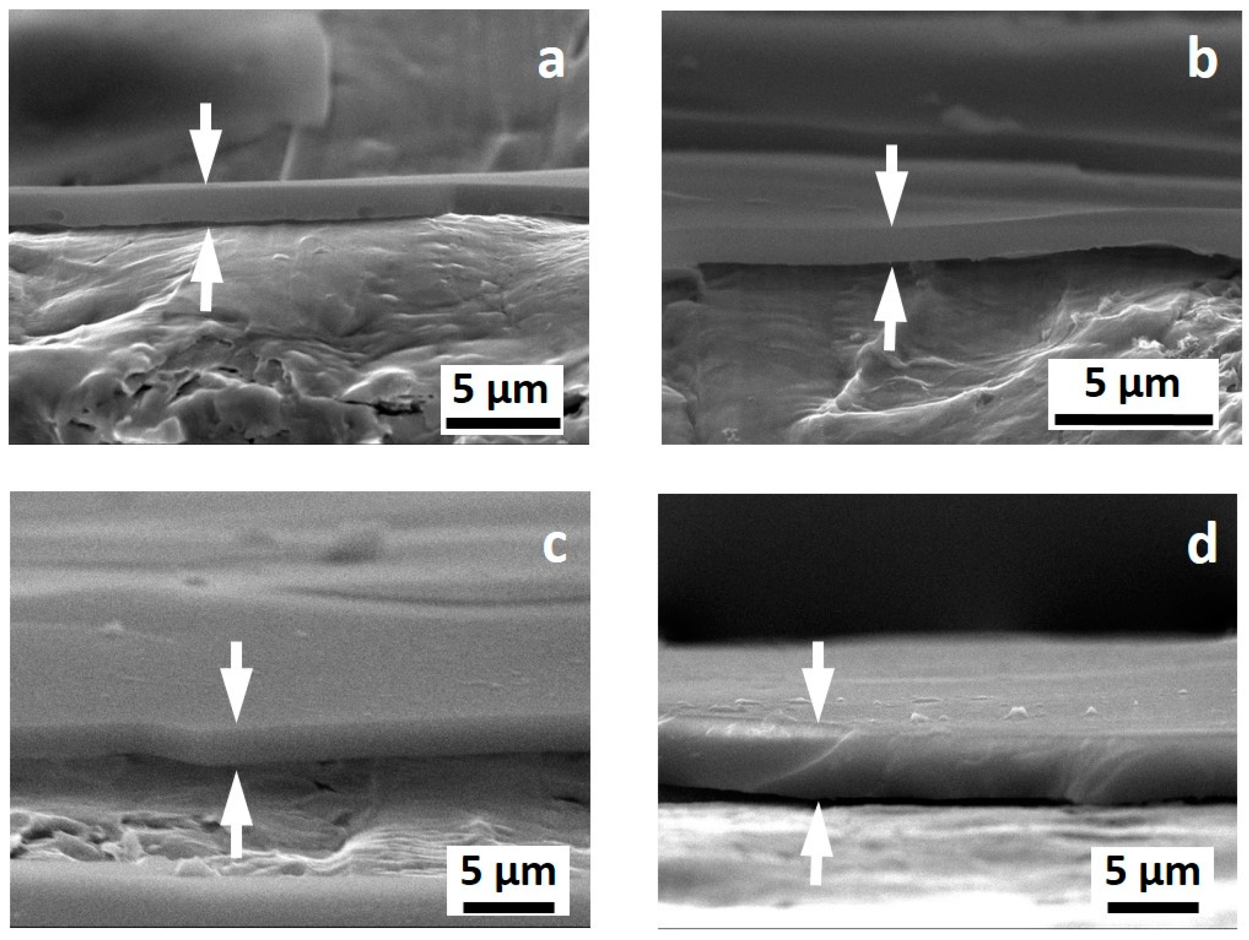 Coatings 09 00680 g002 Coatings 09 00680 g002