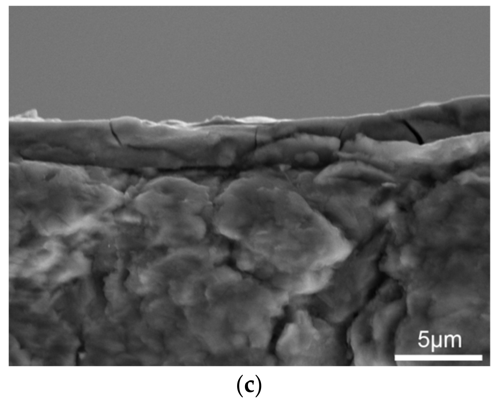 Coatings 09 00689 g010b