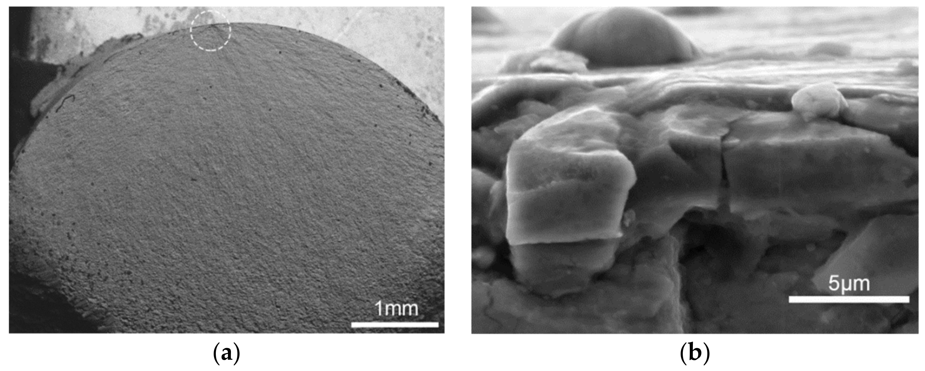 Coatings 09 00689 g011