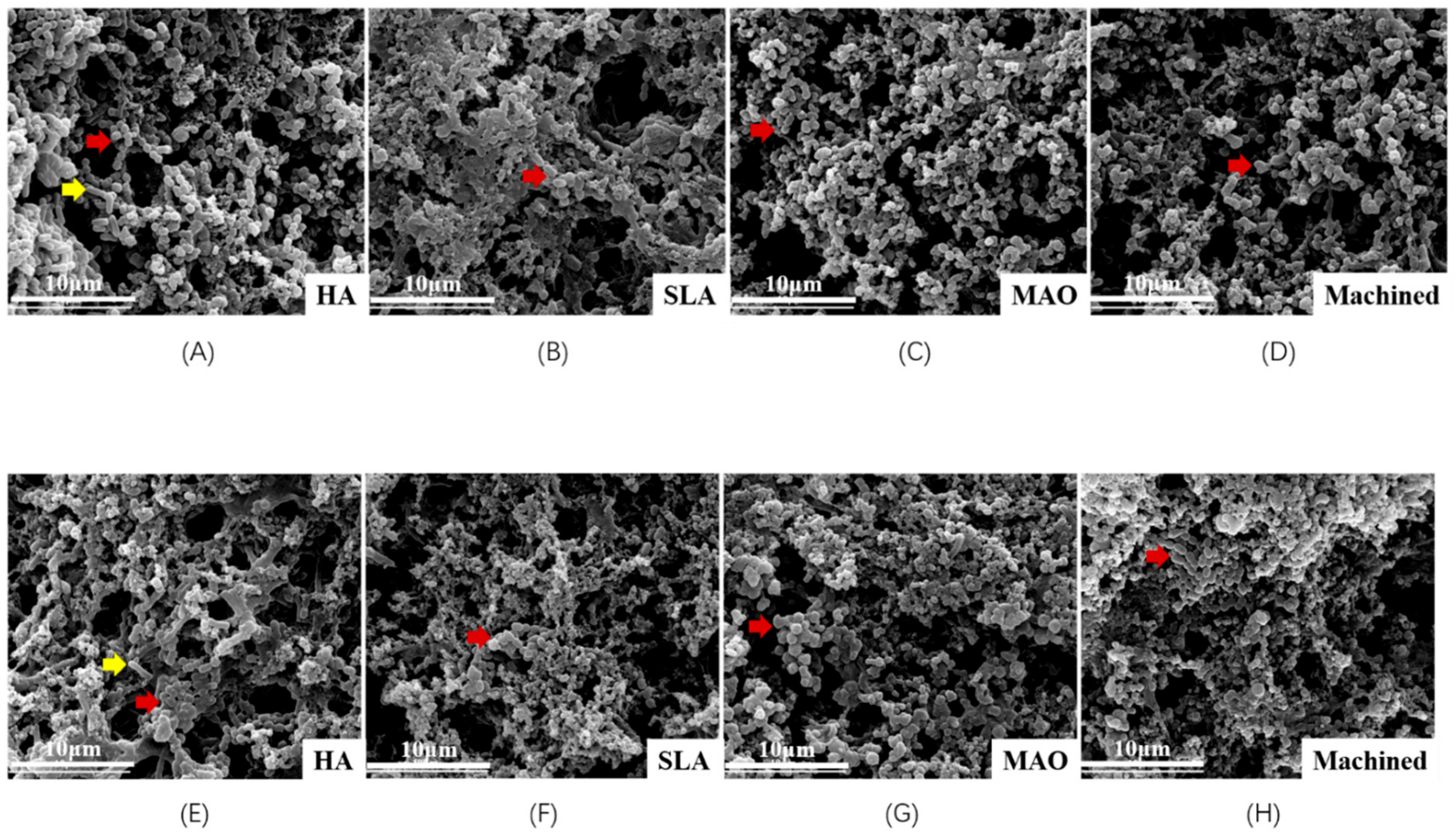 Coatings 09 00691 g002