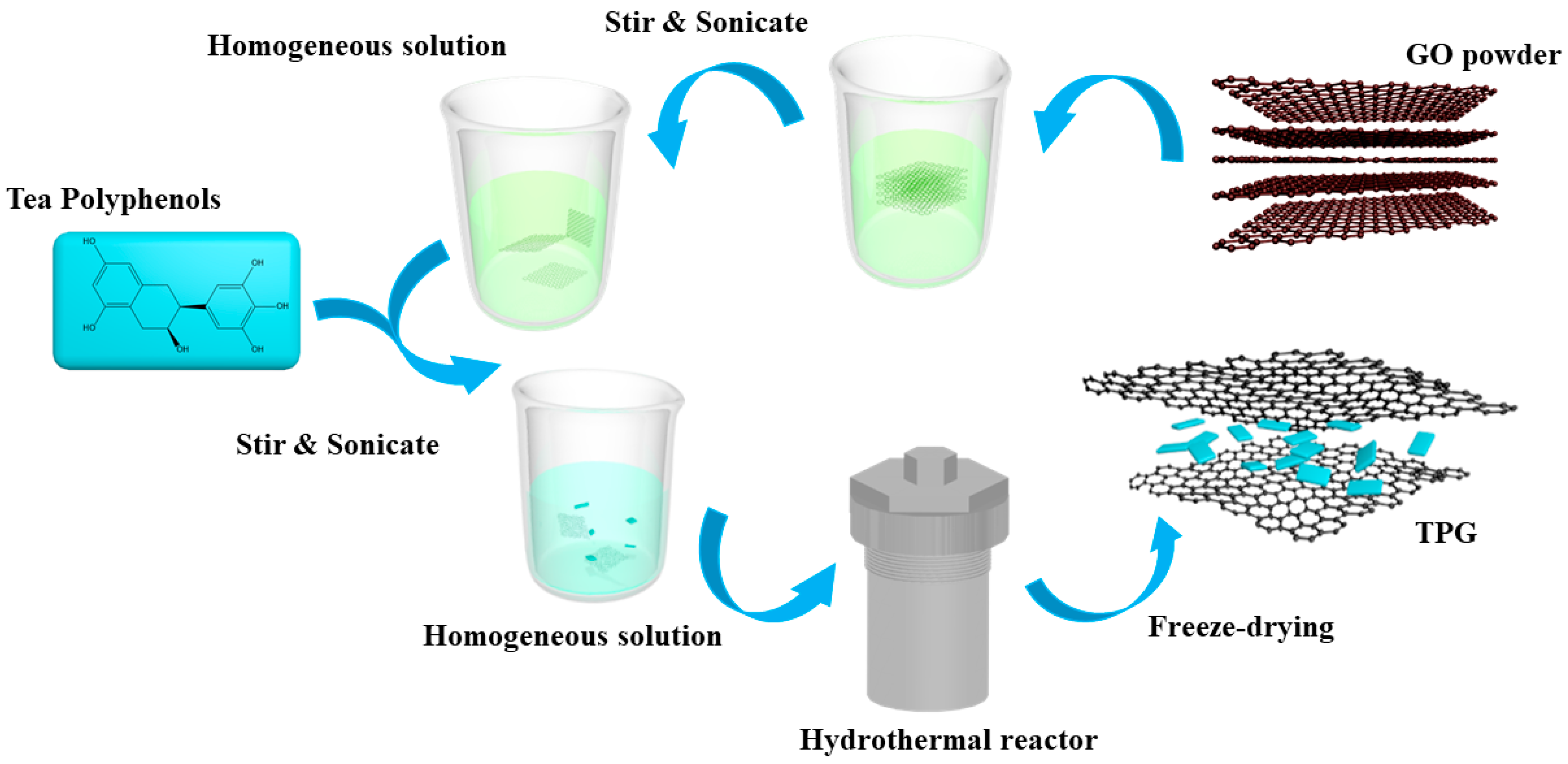 Coatings 09 00731 g001