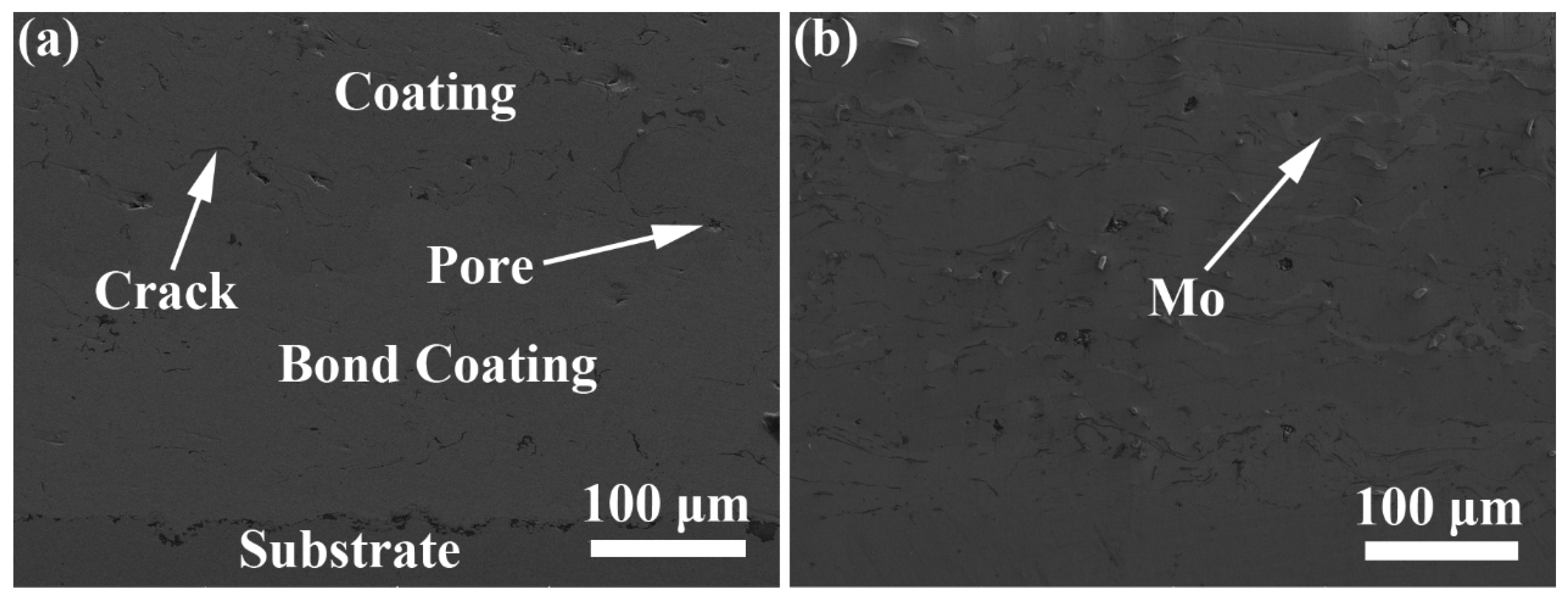 Coatings 09 00747 g002