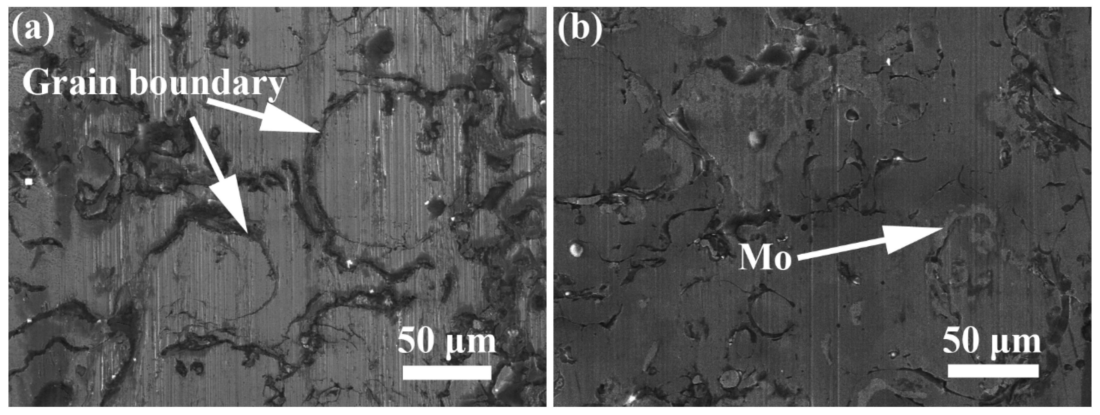 Coatings 09 00747 g008