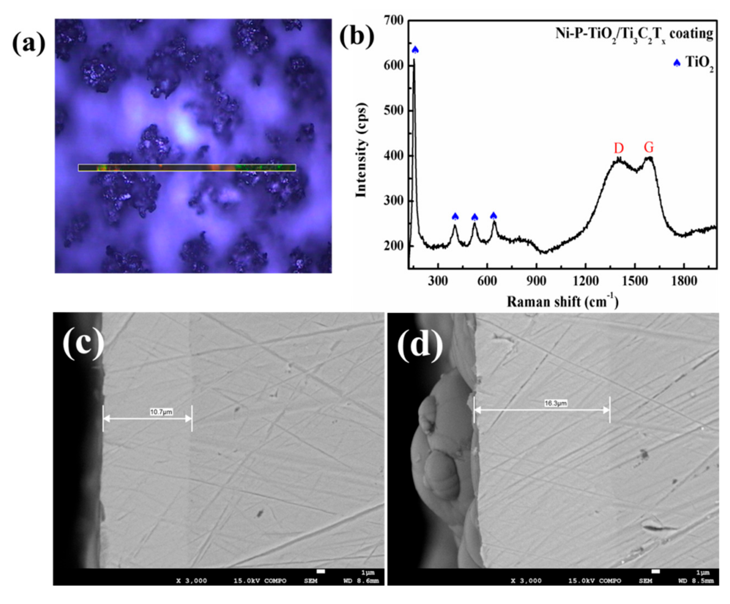 Coatings 09 00750 g008 Coatings 09 00750 g008