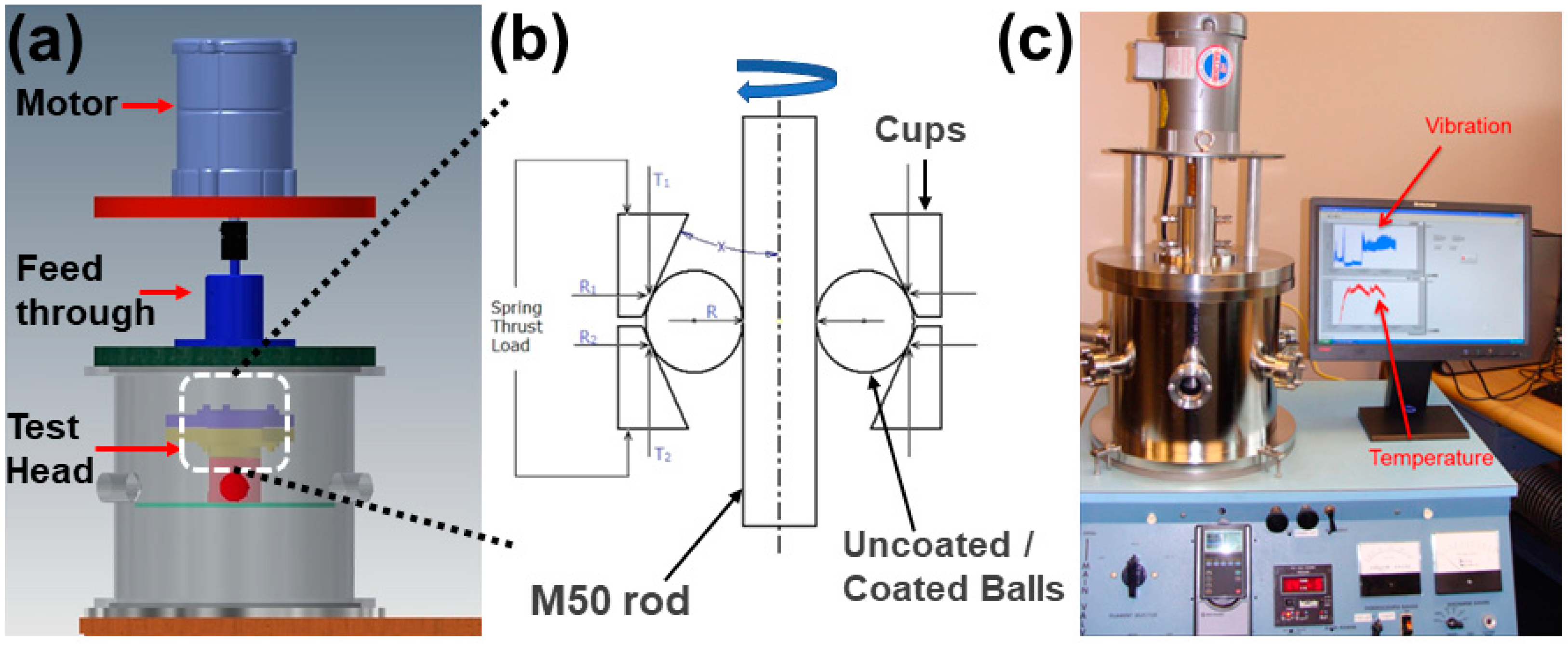 Coatings 09 00752 g001