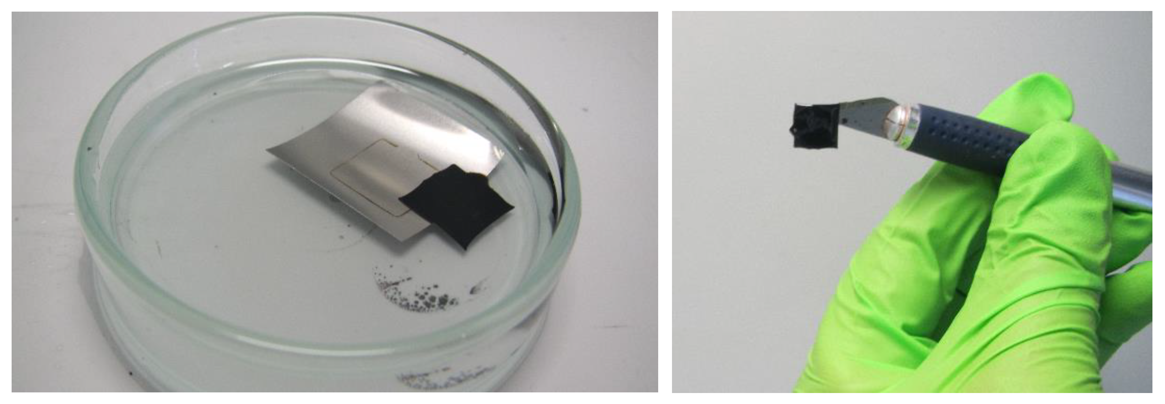 Coatings 09 00764 g005