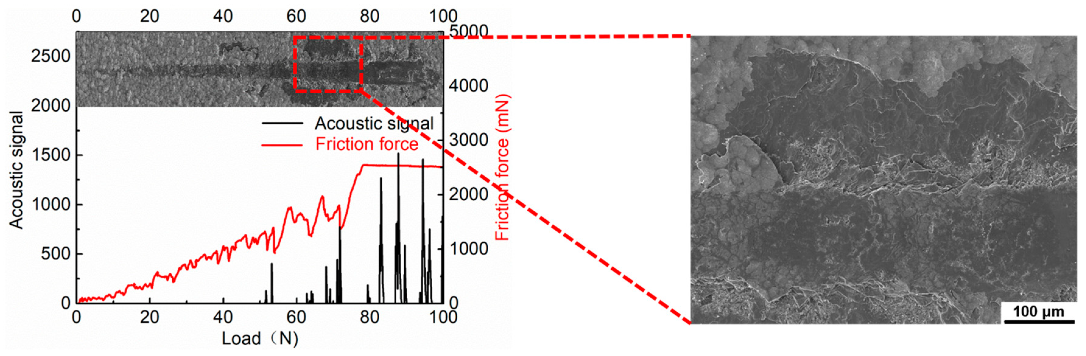 Coatings 09 00765 g004