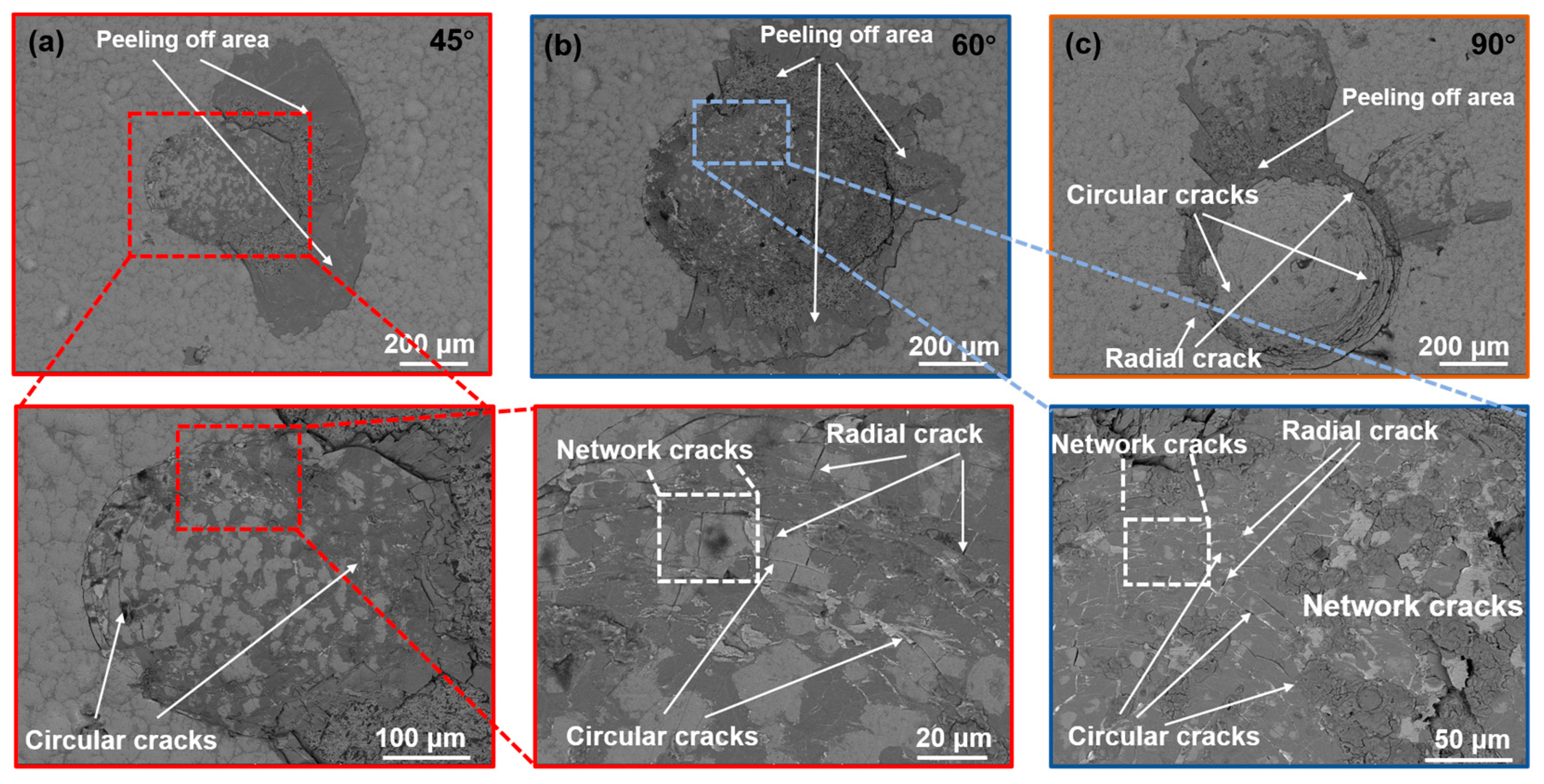 Coatings 09 00765 g006