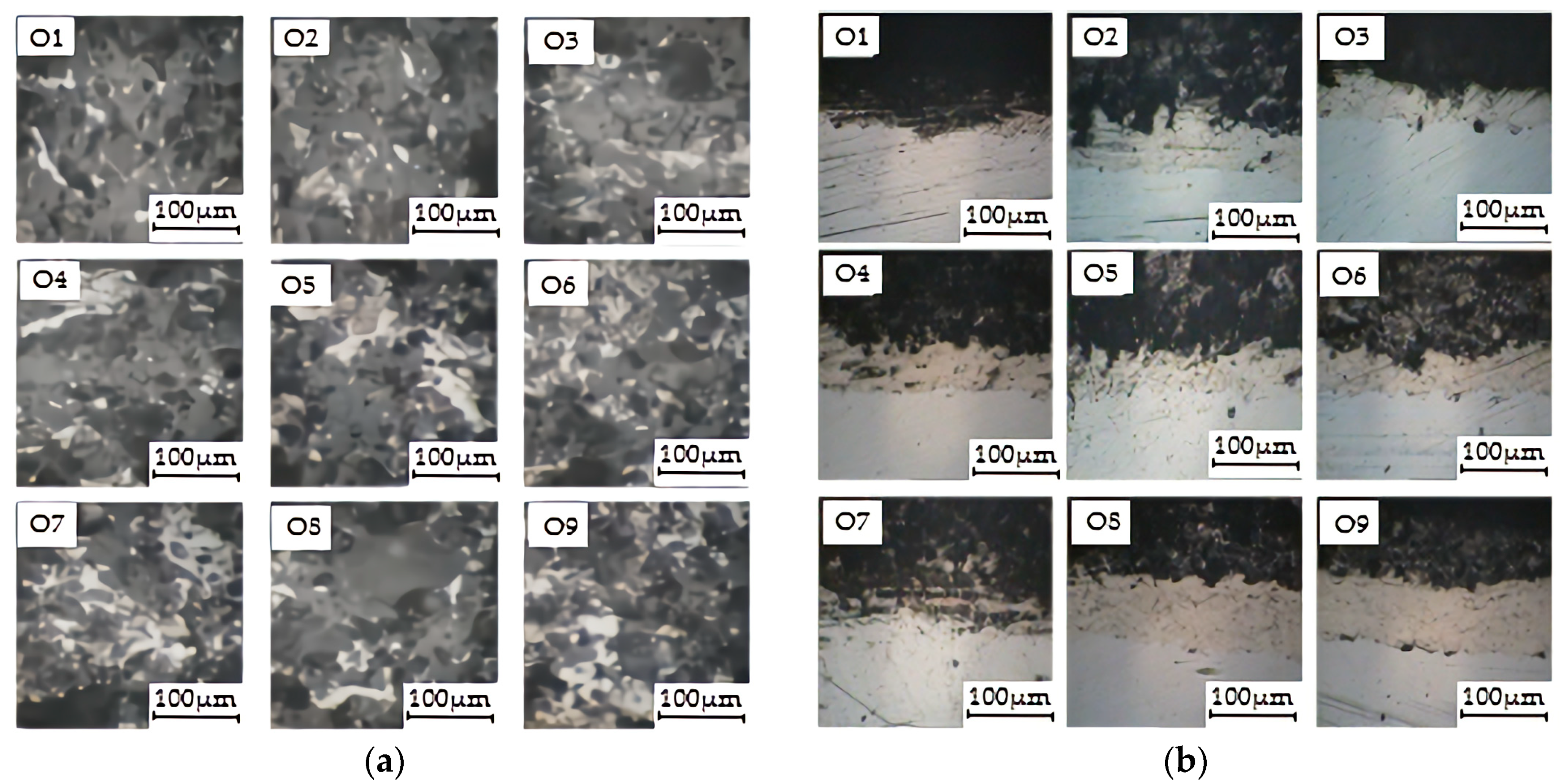 Coatings 09 00770 g007