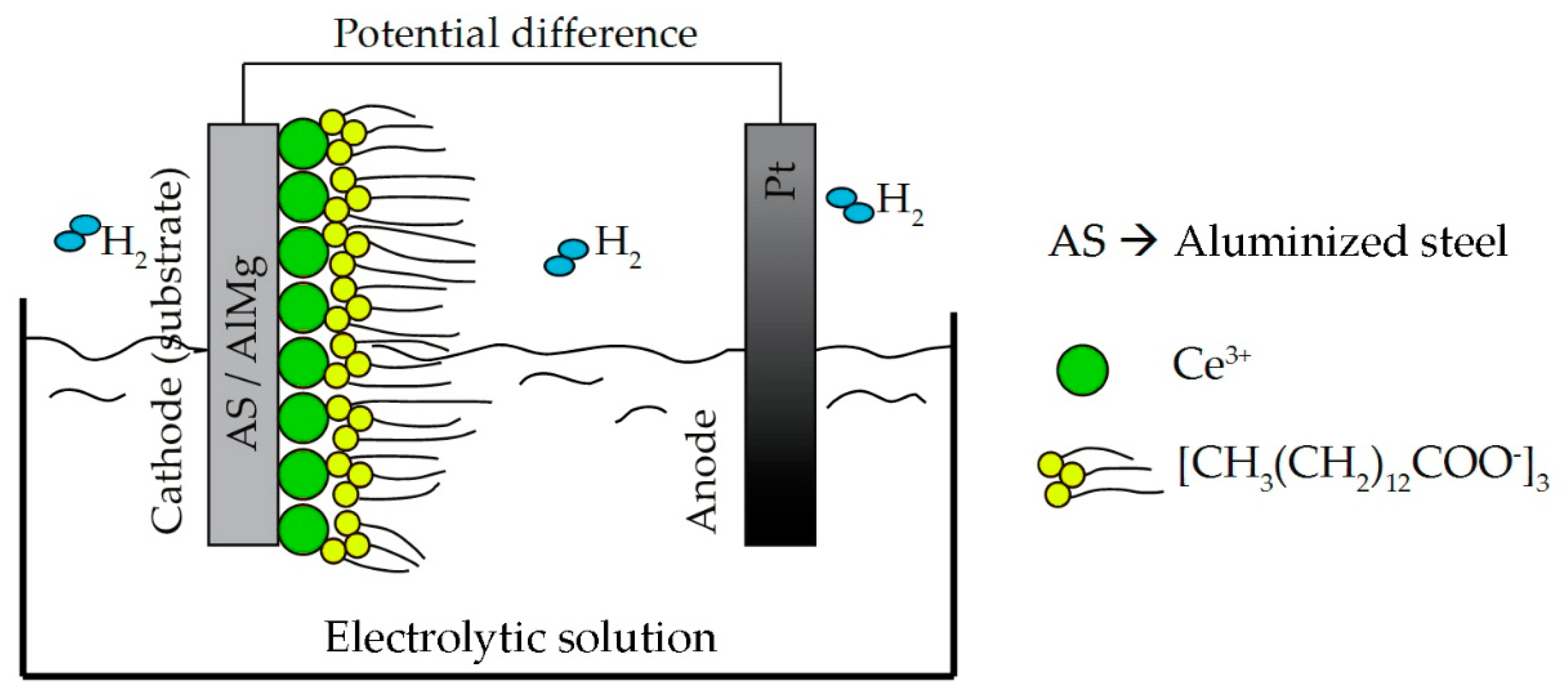 Coatings 09 00774 g001
