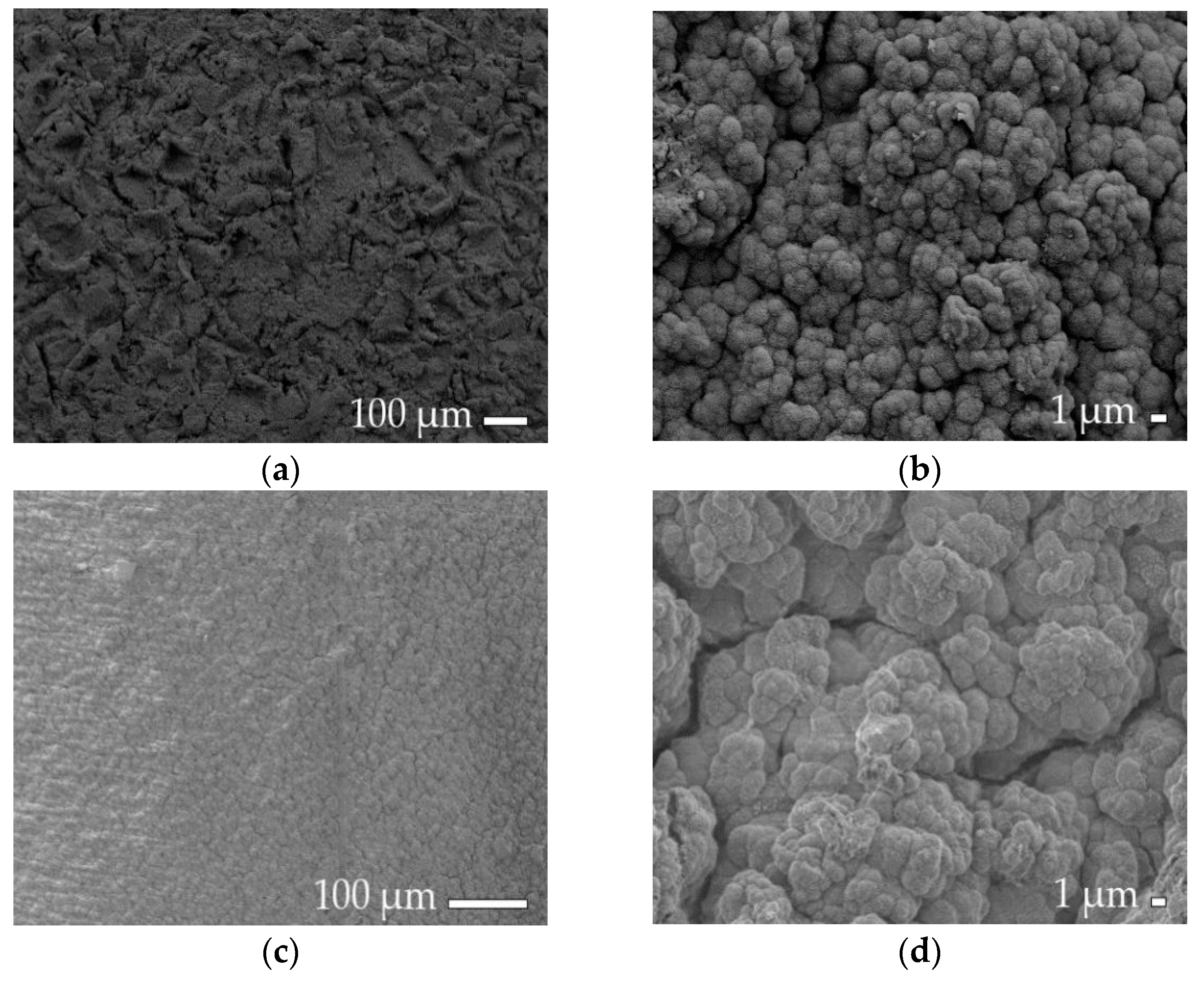 Coatings 09 00774 g005