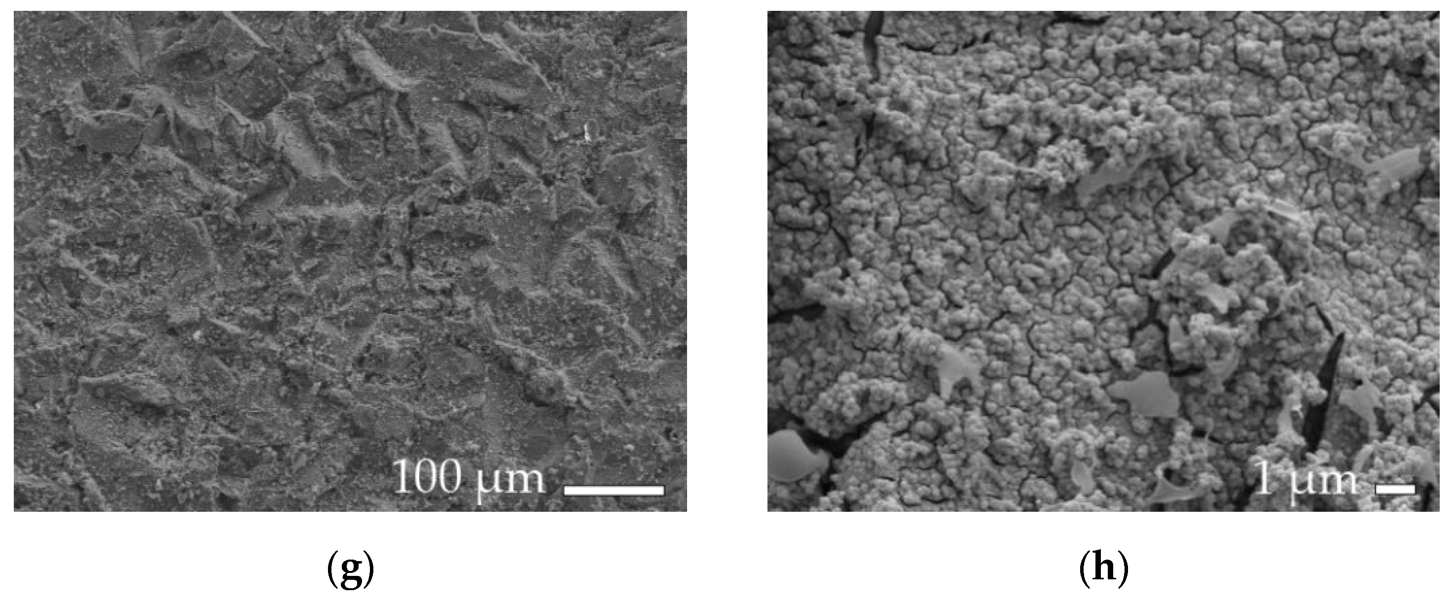 Coatings 09 00774 g008b