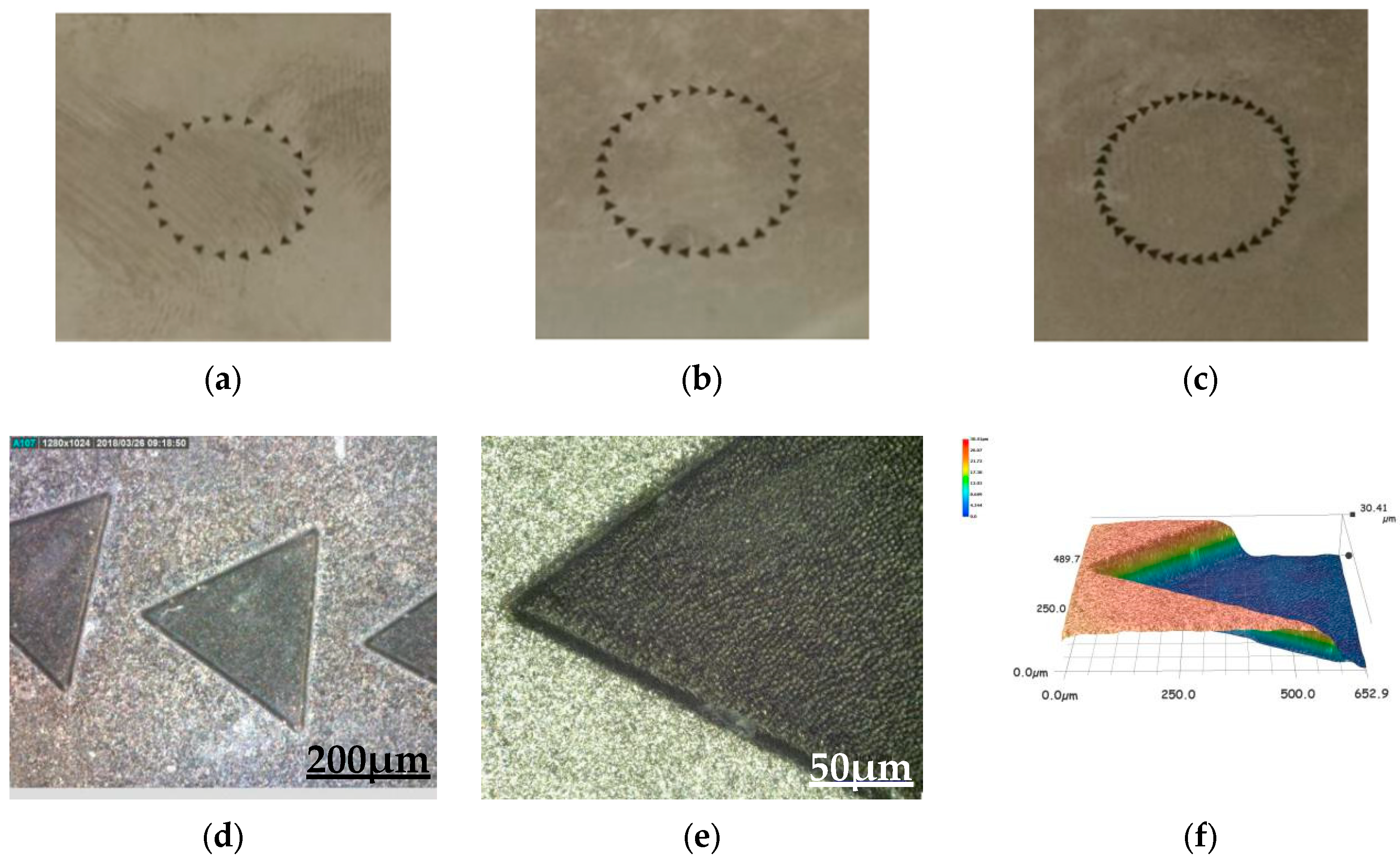 Coatings 09 00780 g001