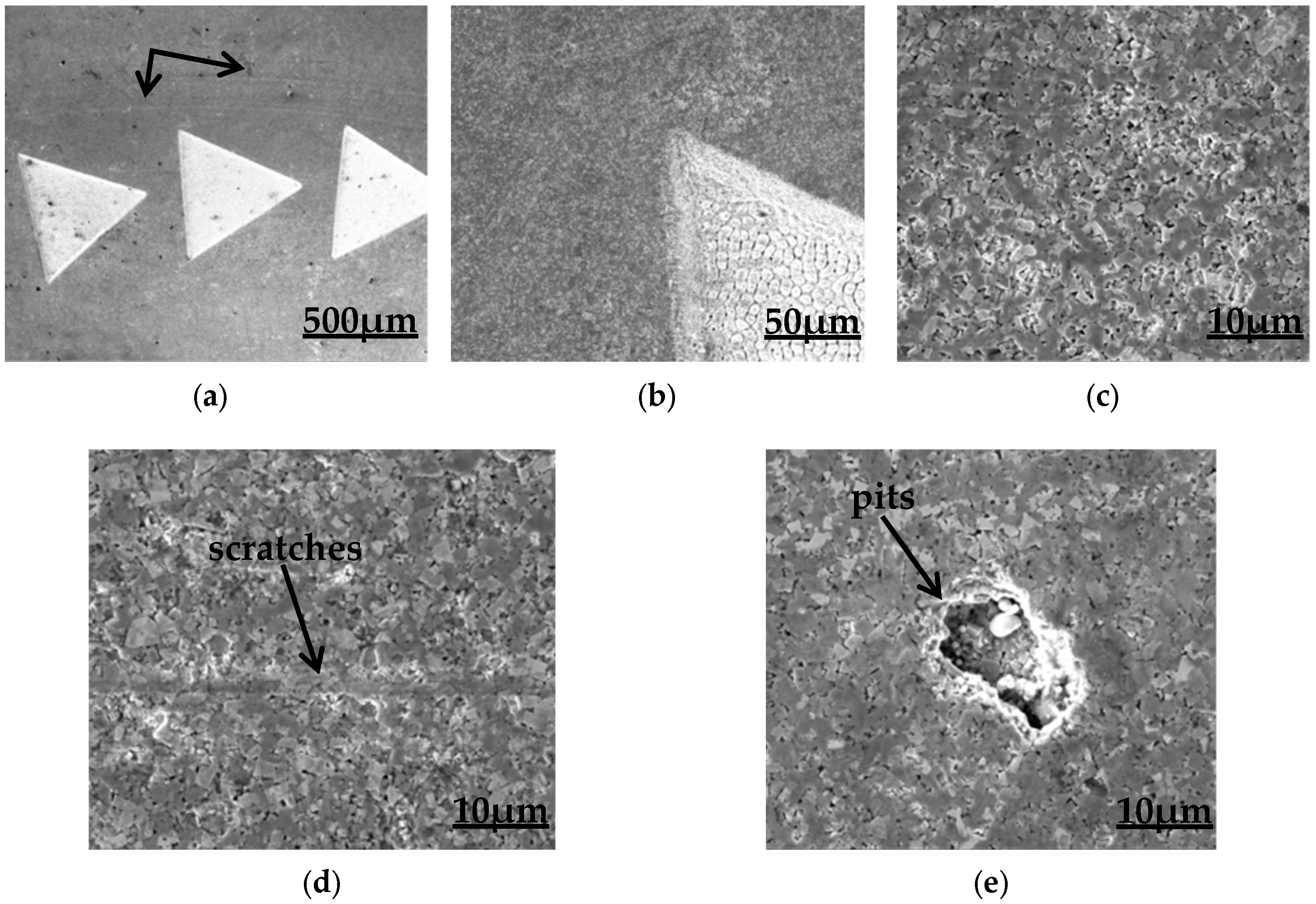 Coatings 09 00780 g015