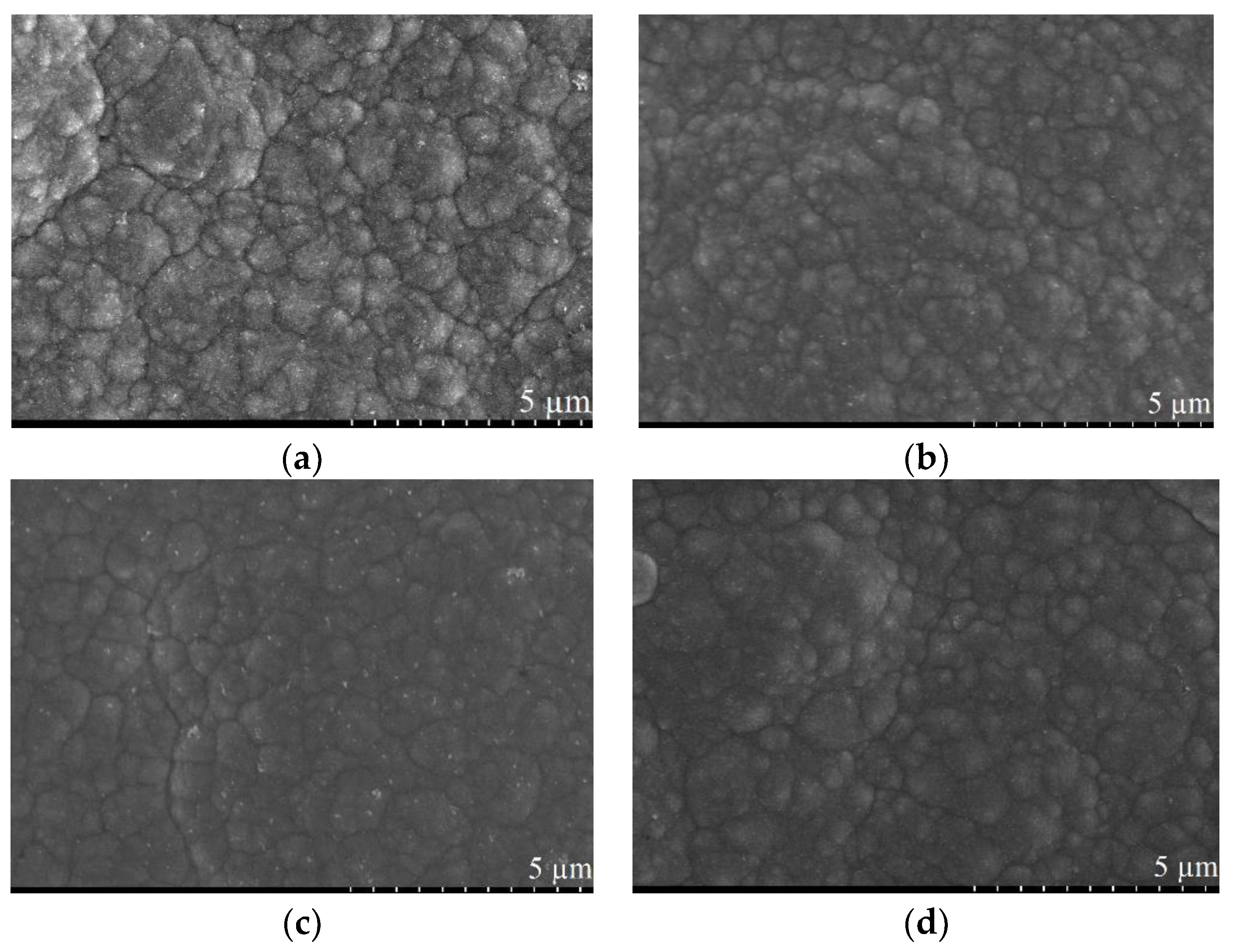Coatings 09 00801 g008