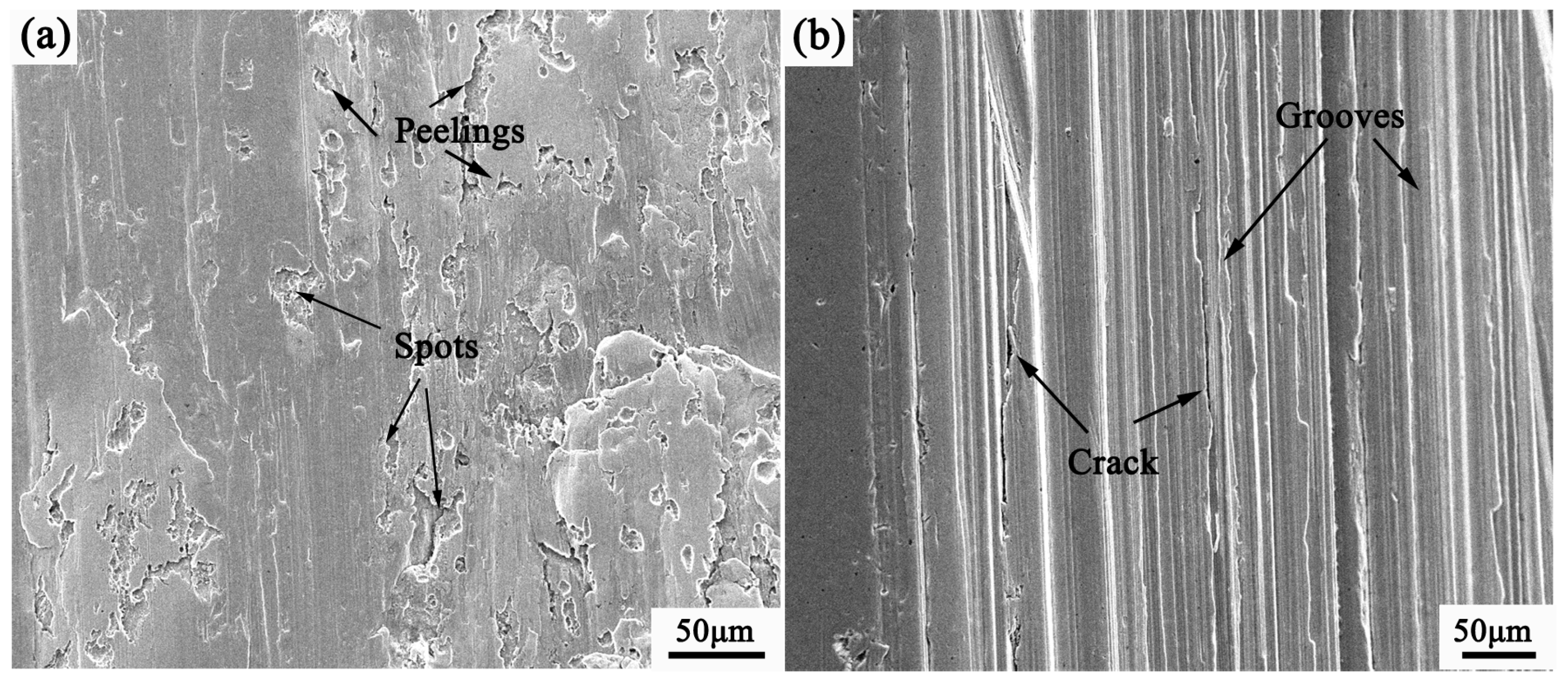 Coatings 09 00804 g012