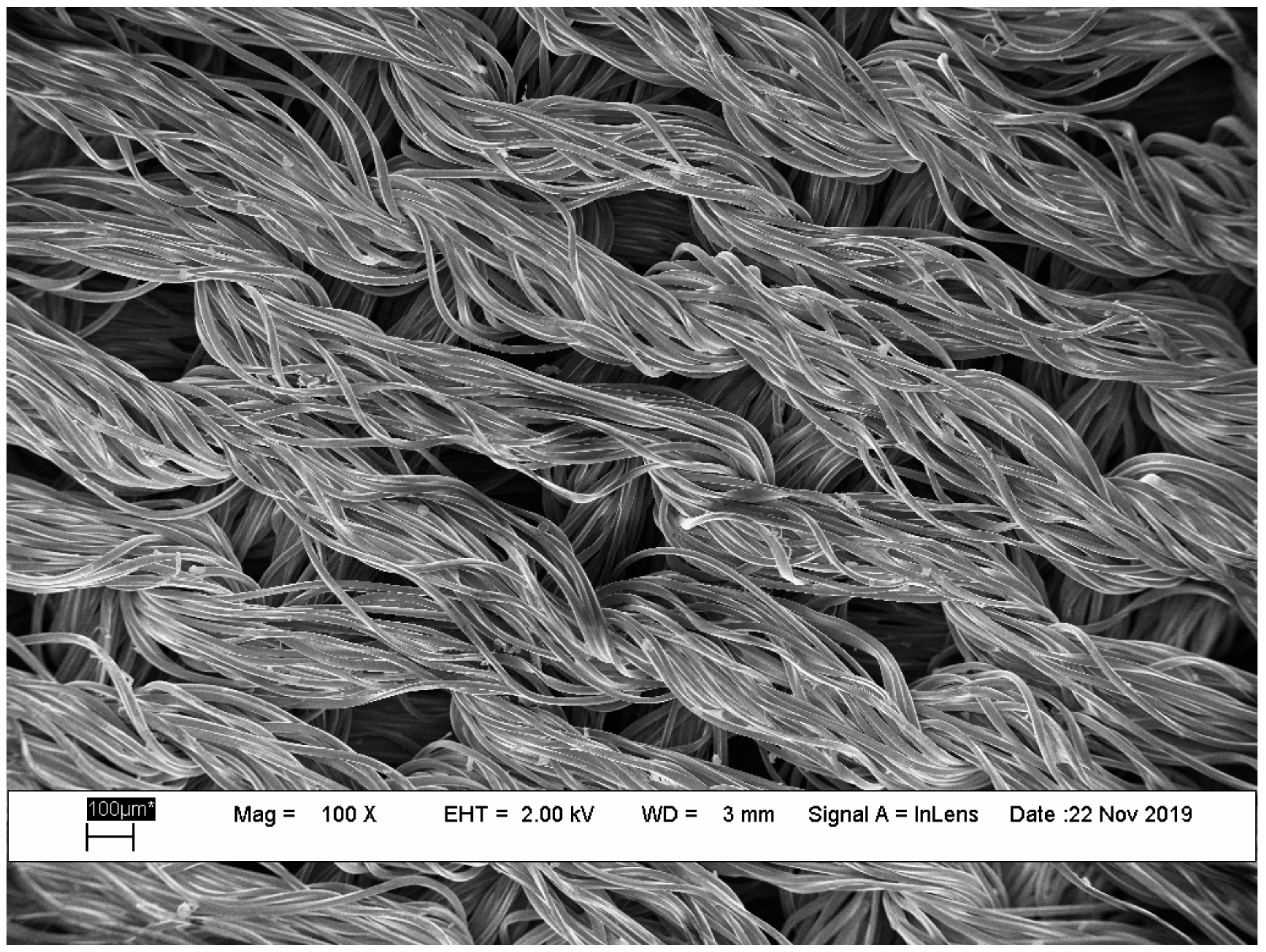 Coatings 09 00831 g004 Coatings 09 00831 g004