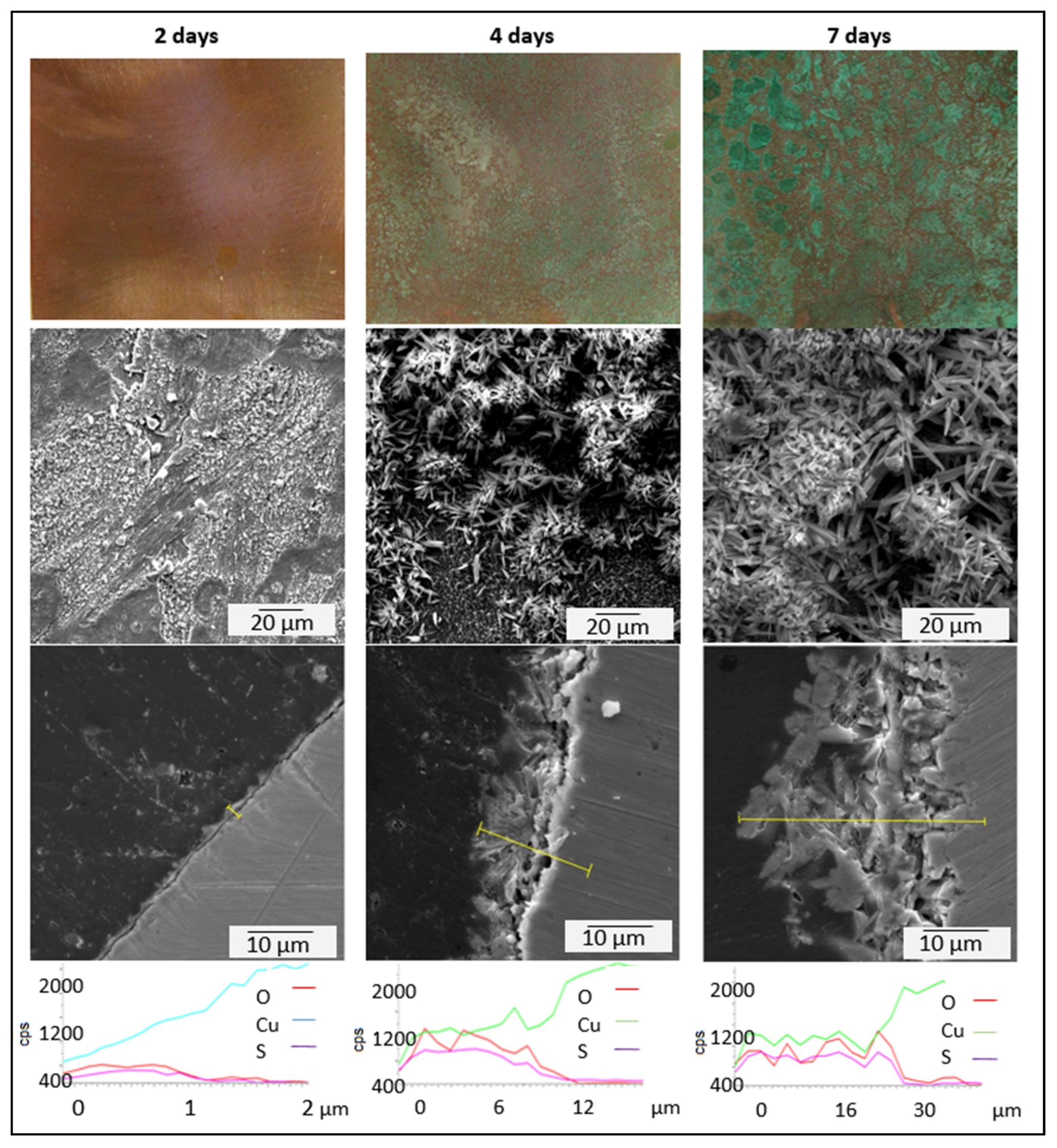 Coatings 09 00837 g011