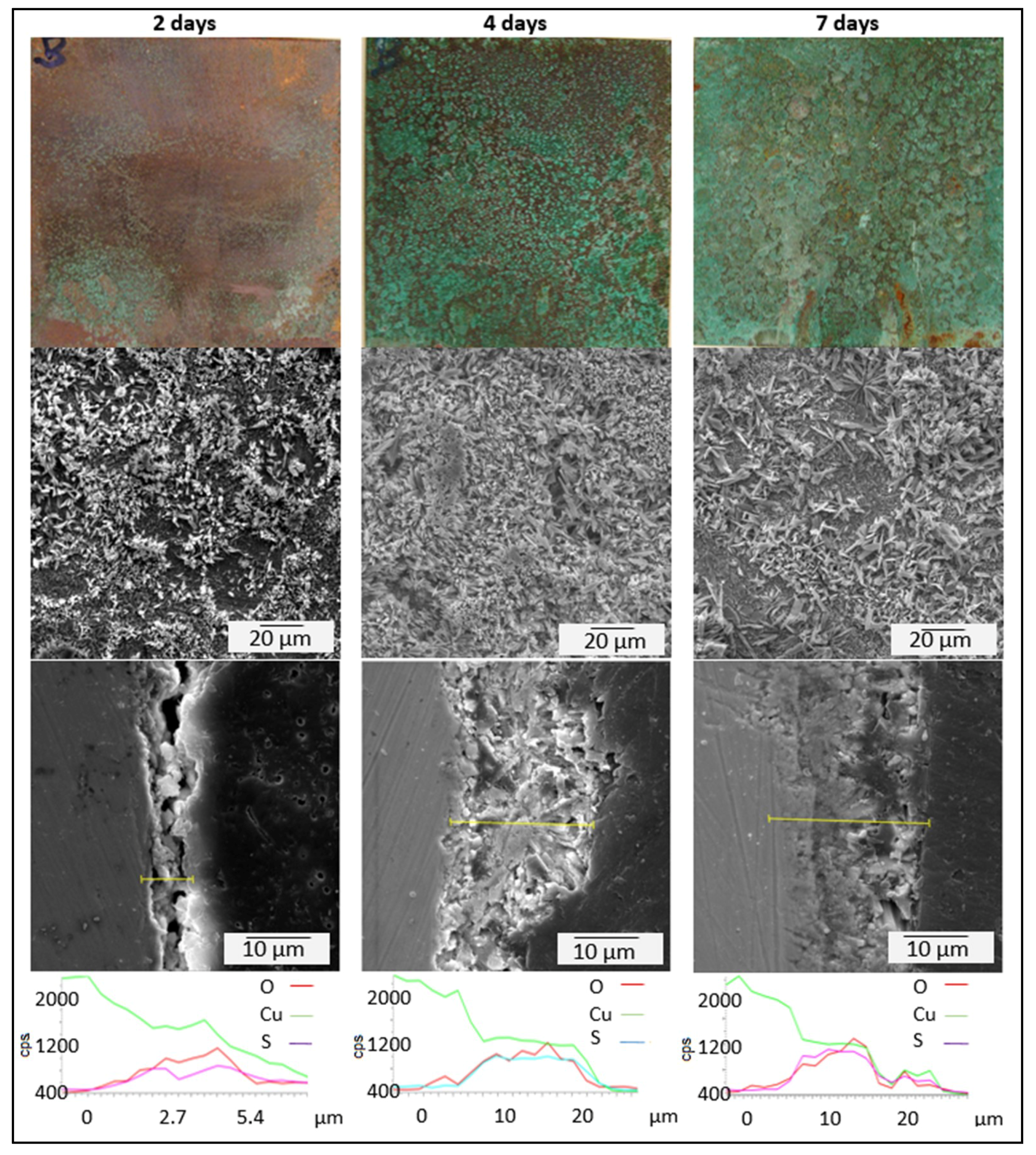 Coatings 09 00837 g012